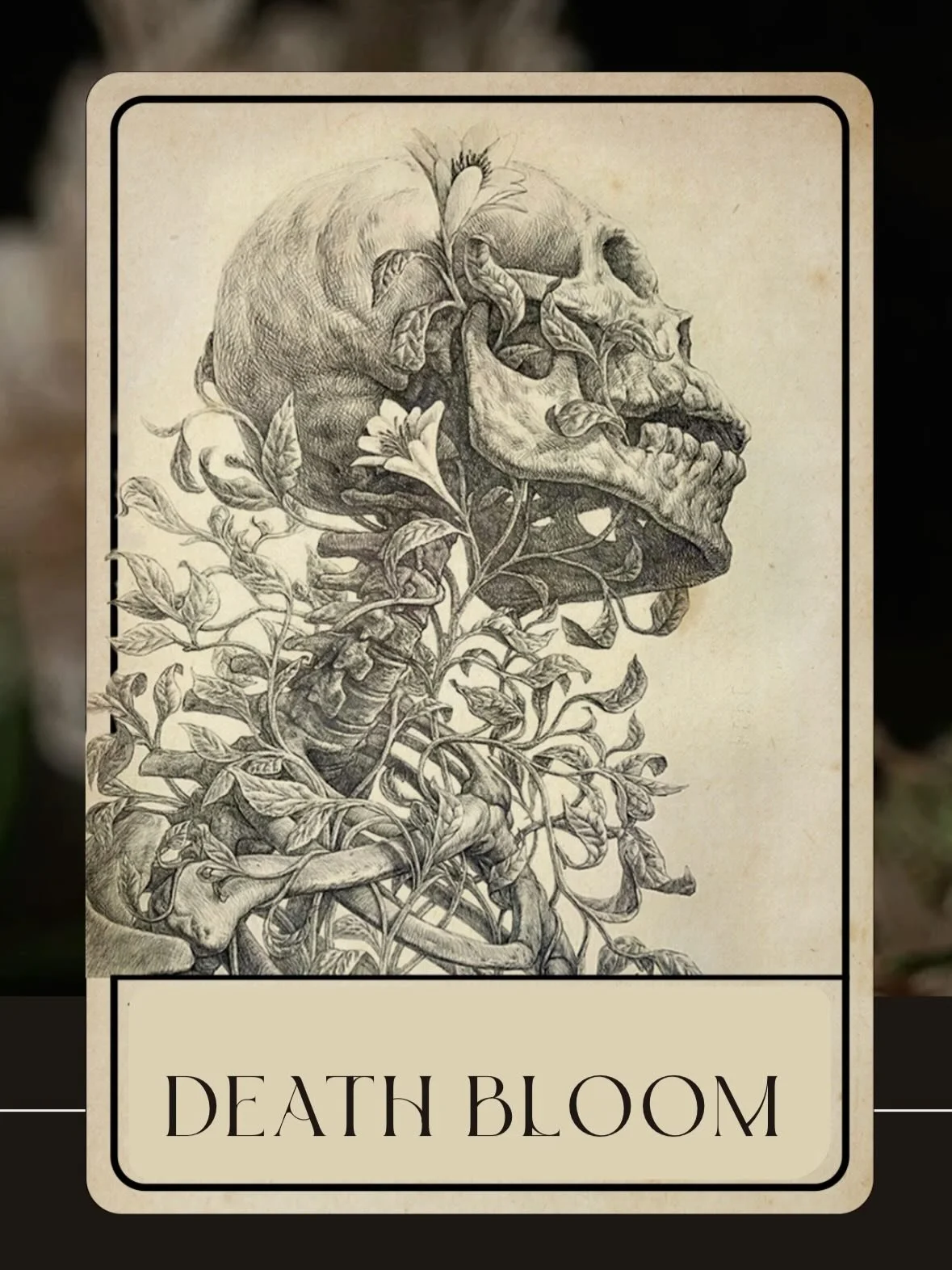 We&rsquo;re in the home stretch of the year of the snake. Snake years are about shedding. They require flexibility in service of transformation.

You are not meant to make it out of a snake year with your rigid safety structures intact.

Helping  fol
