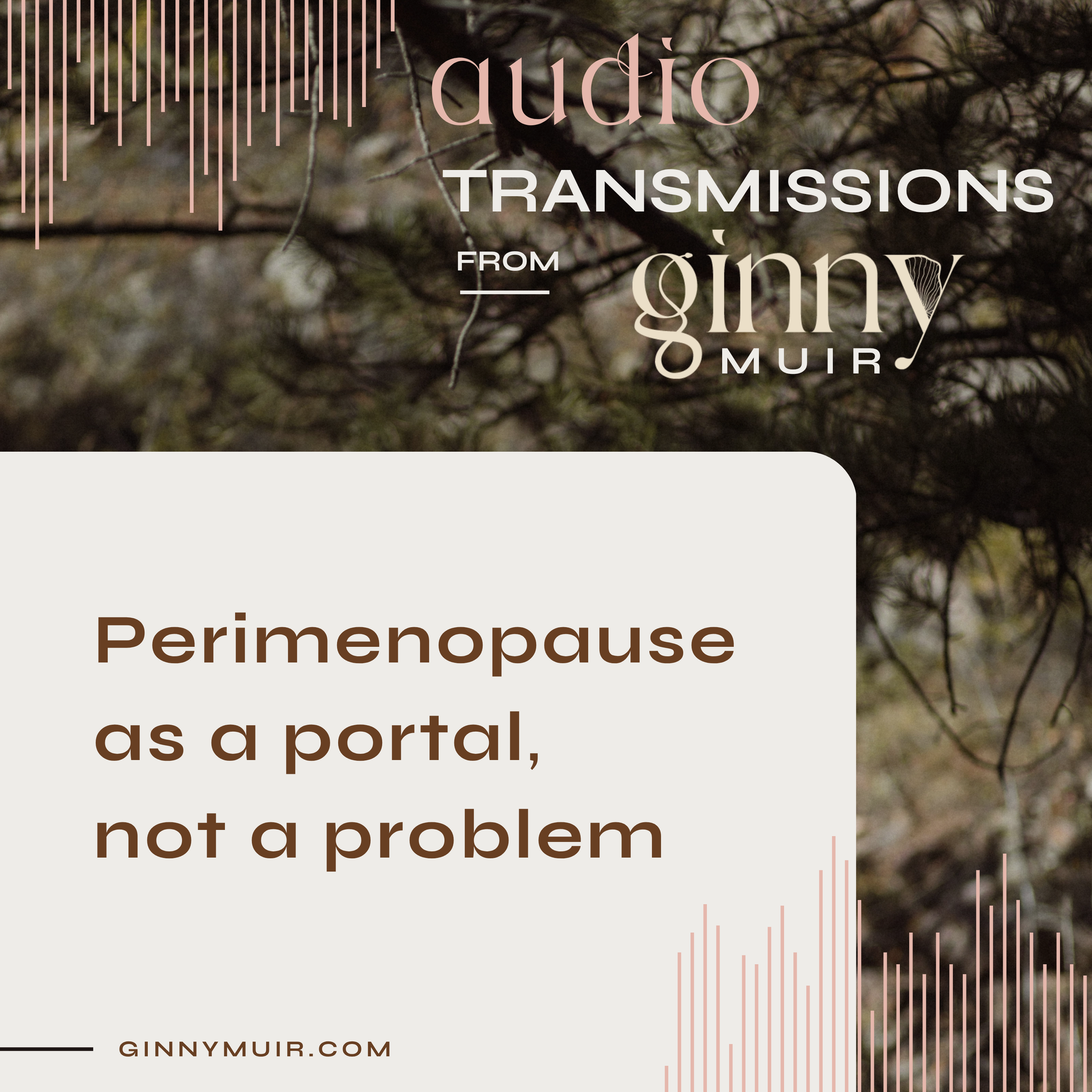 Perimenopause as a portal, not a problem 