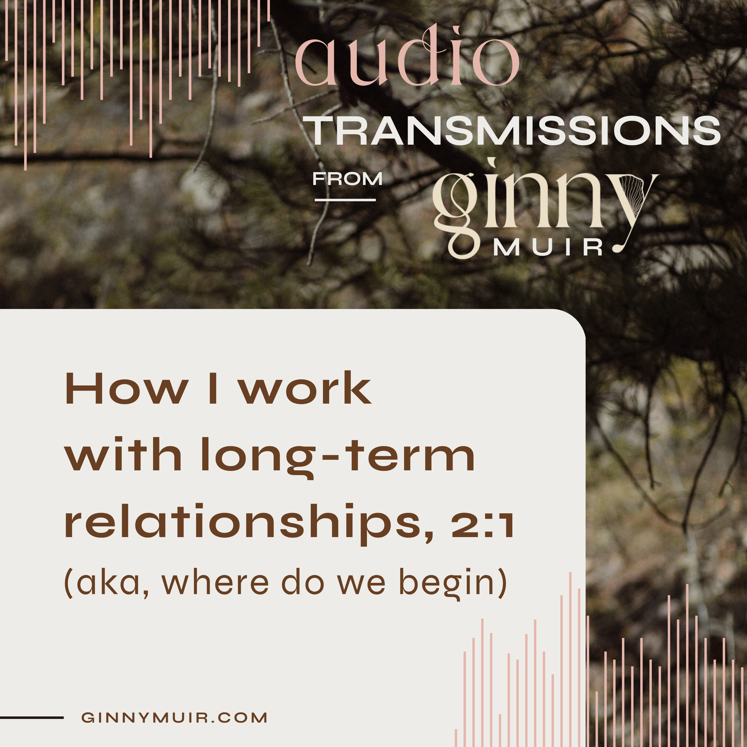 How I work with relationships 2:1 (aka where do we begin)