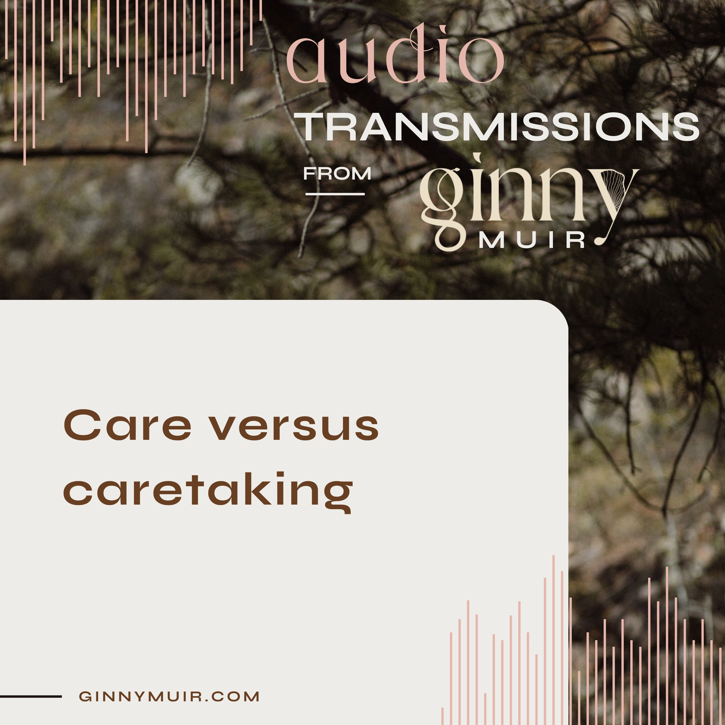 Care vs. Caretaking