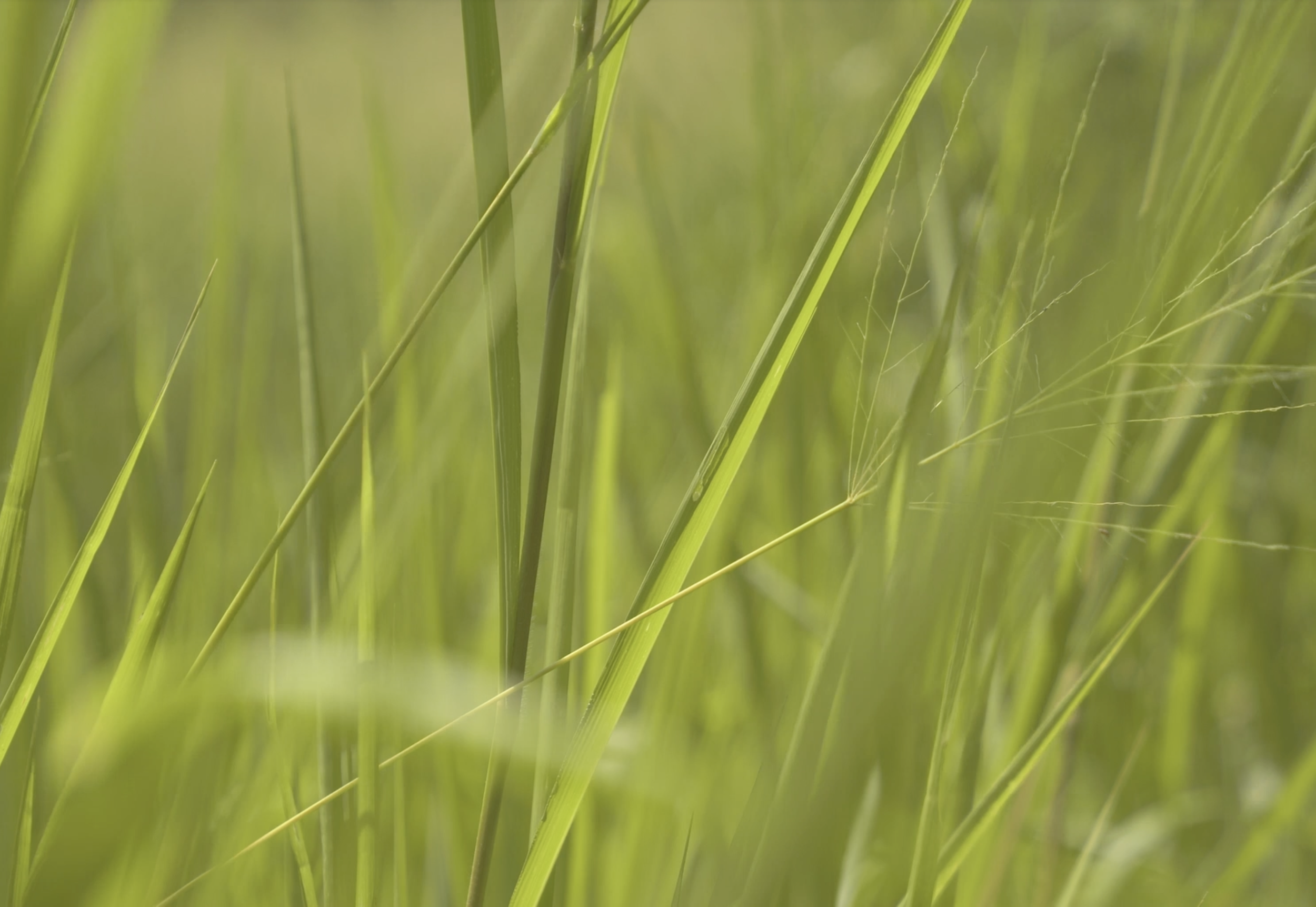 Screenshot 2026-01-27 at 16.25.27.png