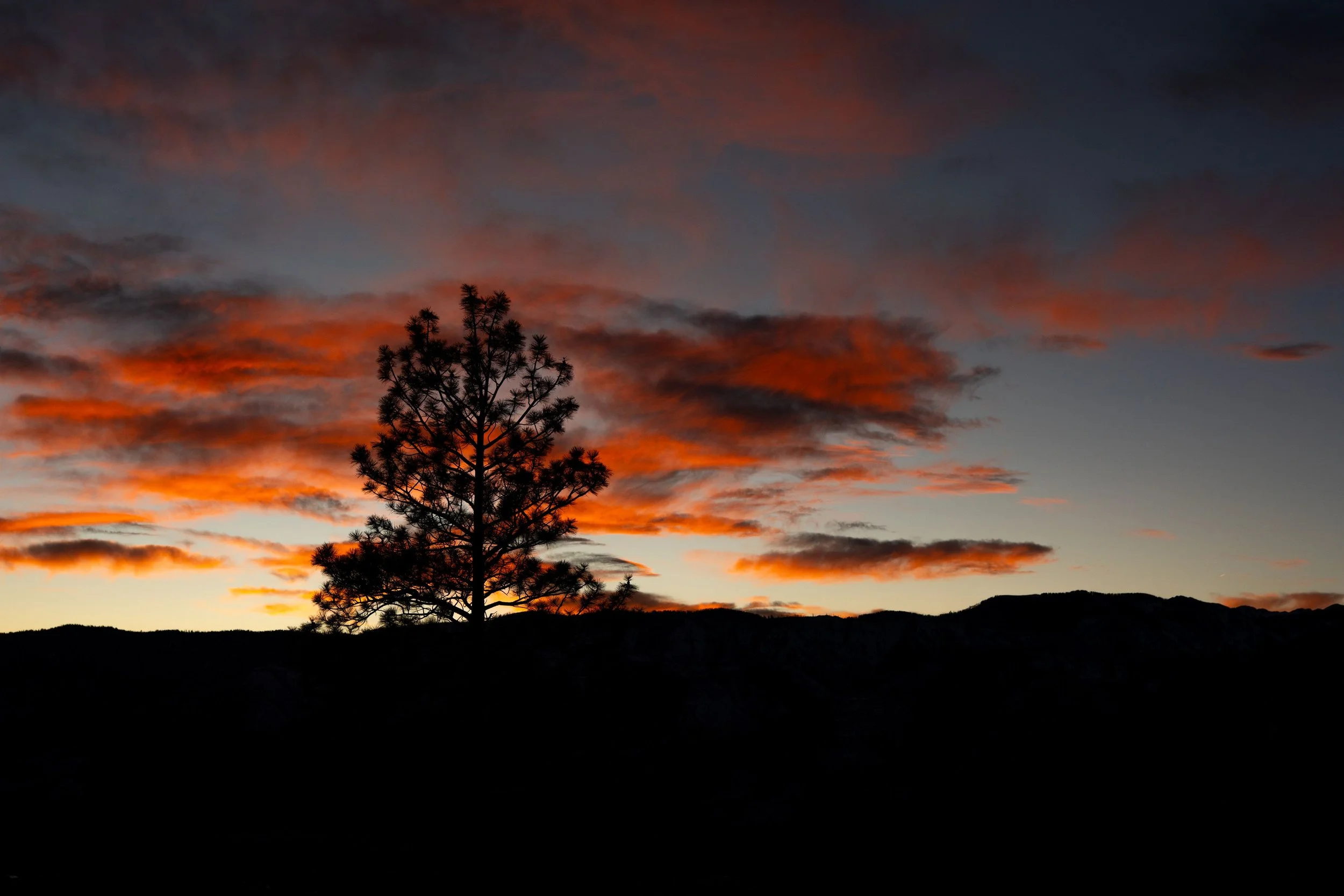 Innovation & Creativity 6-Week Program (June 2nd - July 7th)