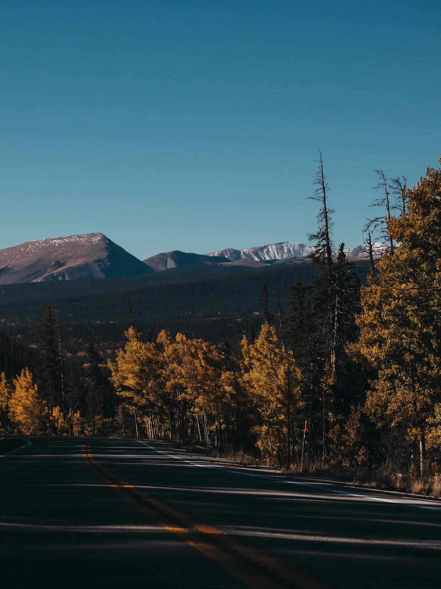 Golden aspens, crisp mountain air, and that Colorado magic 🍁✨ Fall here never misses

#ColoradoFall #FallInColorado #GoldenAspens #MountainViews #ColoradoMagic #FallColors #RockyMountainVibes #AspenTrees #AutumnVibes #ExploreColorado #NaturePhotogra