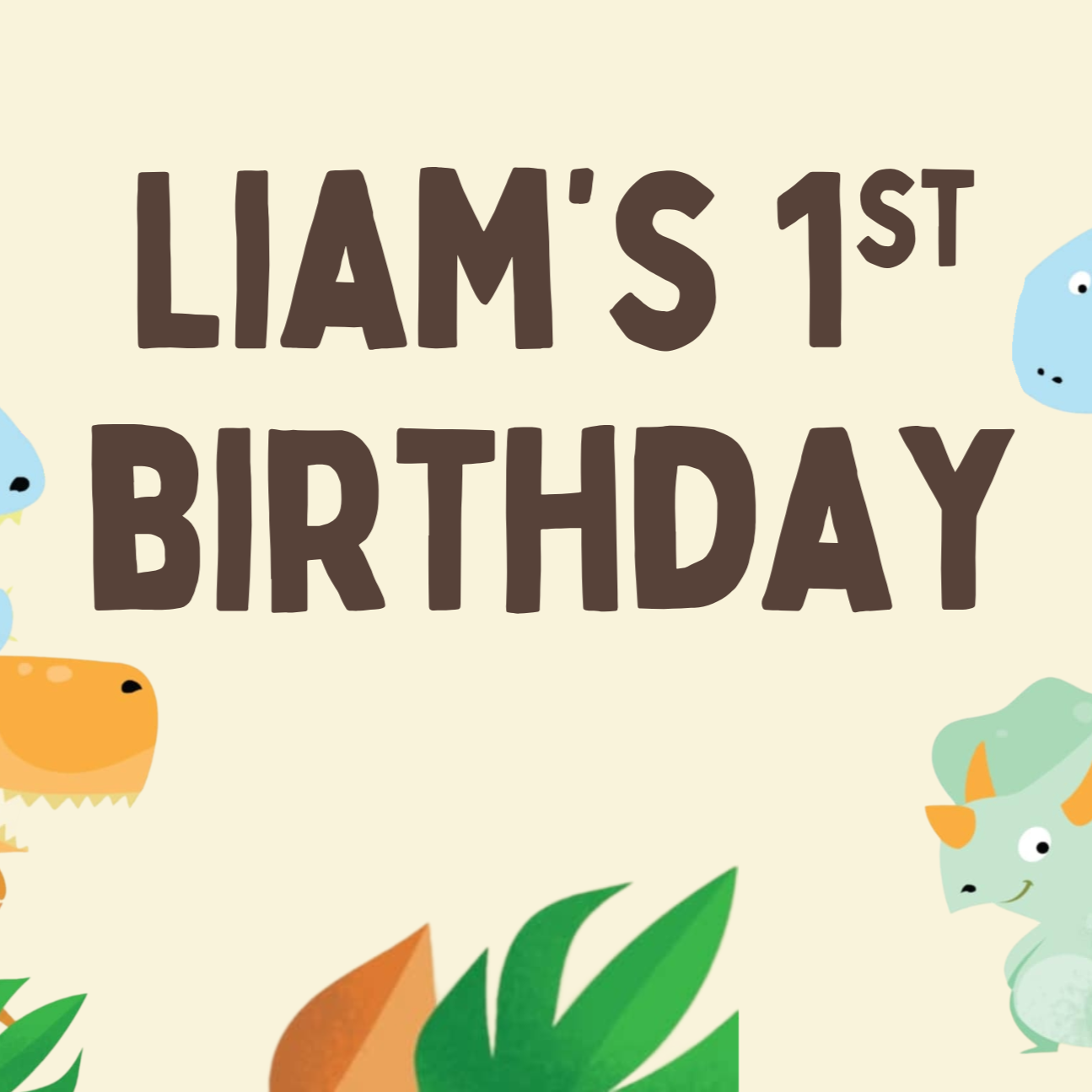 Liam's 1st Birthday