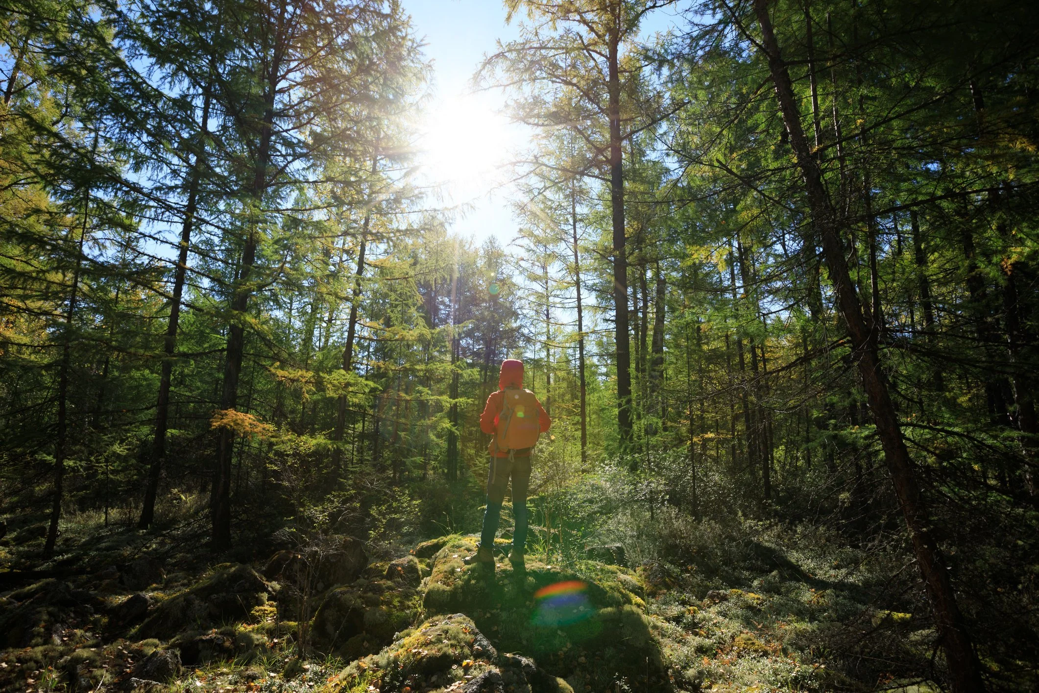 A person in a red jacket and yellow backpack hiking in a lush green forest with sunlight shining through the trees.