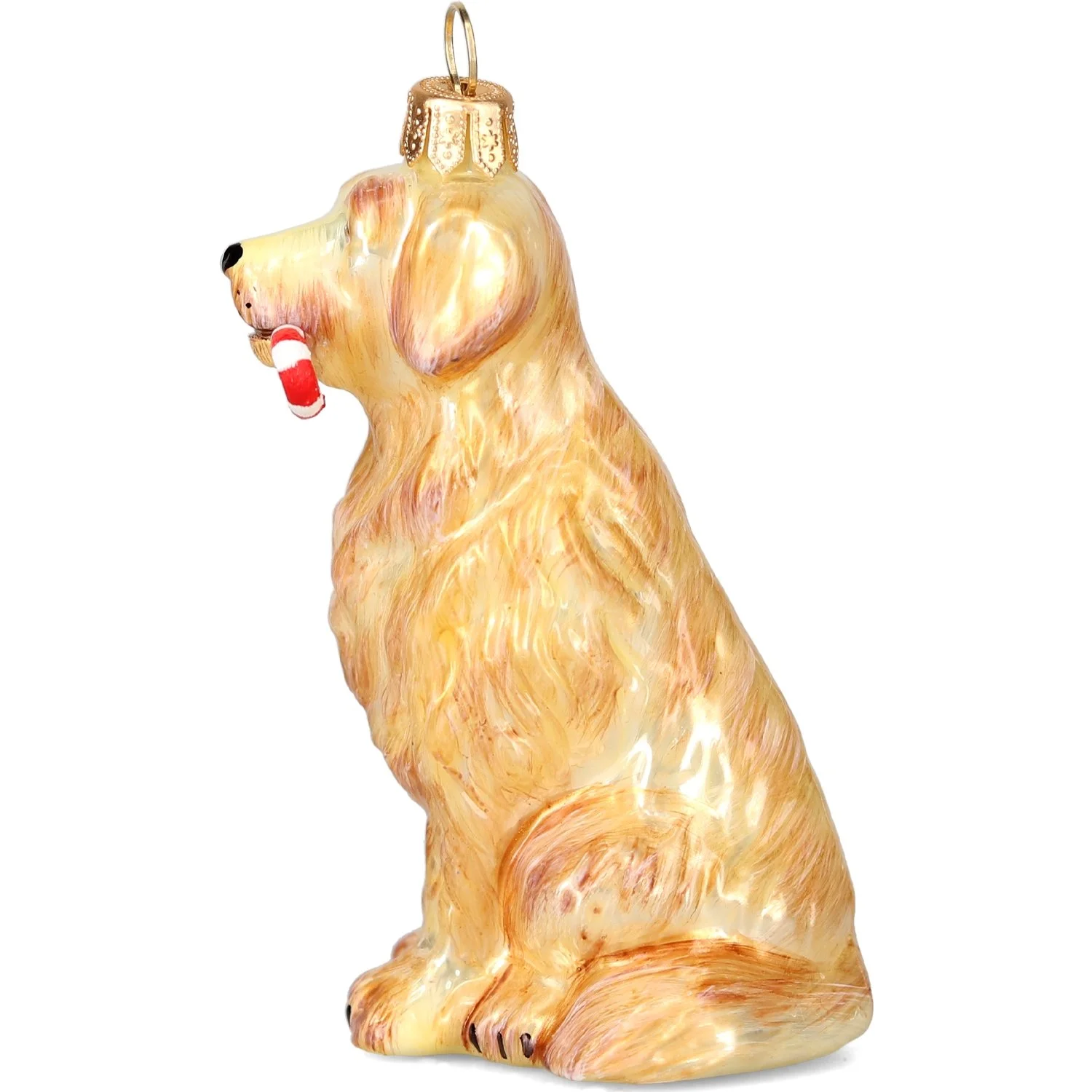 Golden Retriever with Candy Cane2.jpeg