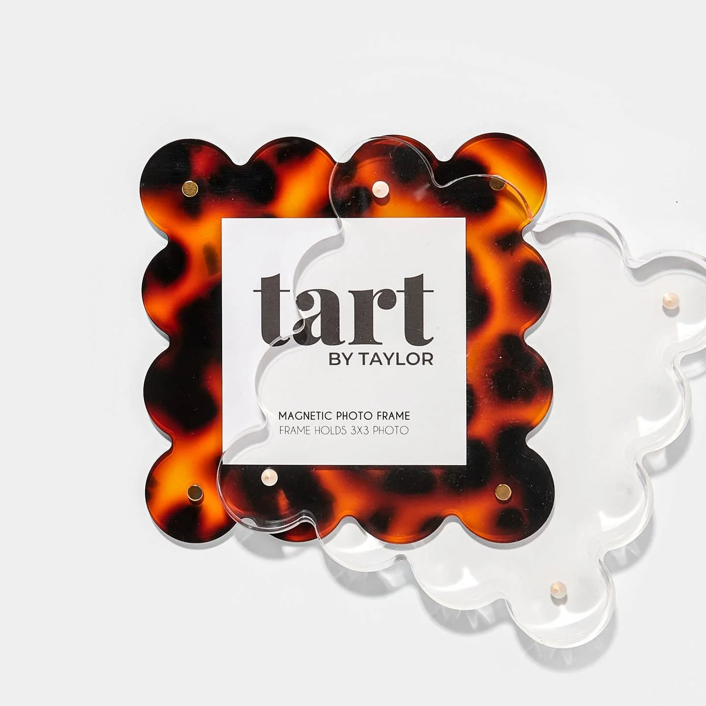 Tortoise Mini Acrylic Picture Frame2.jpeg