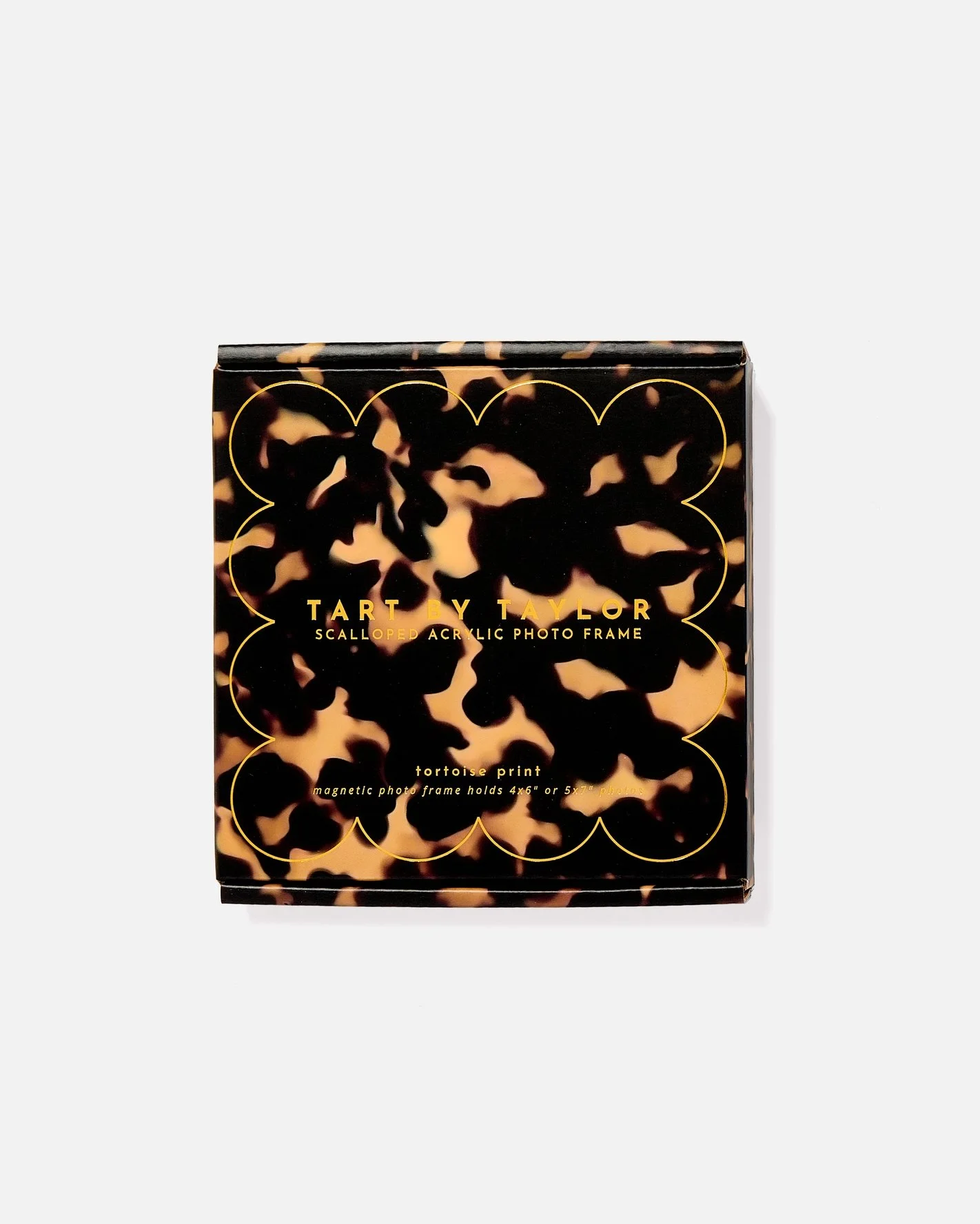 Tortoise Mini Acrylic Picture Frame6.jpeg