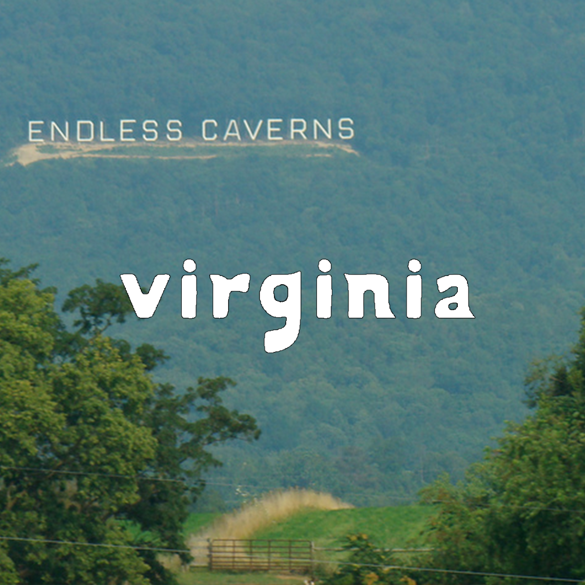 virginia3.png