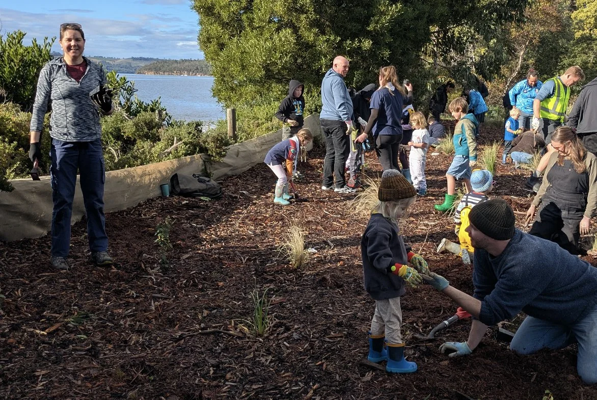 Snug Beach Revegetation