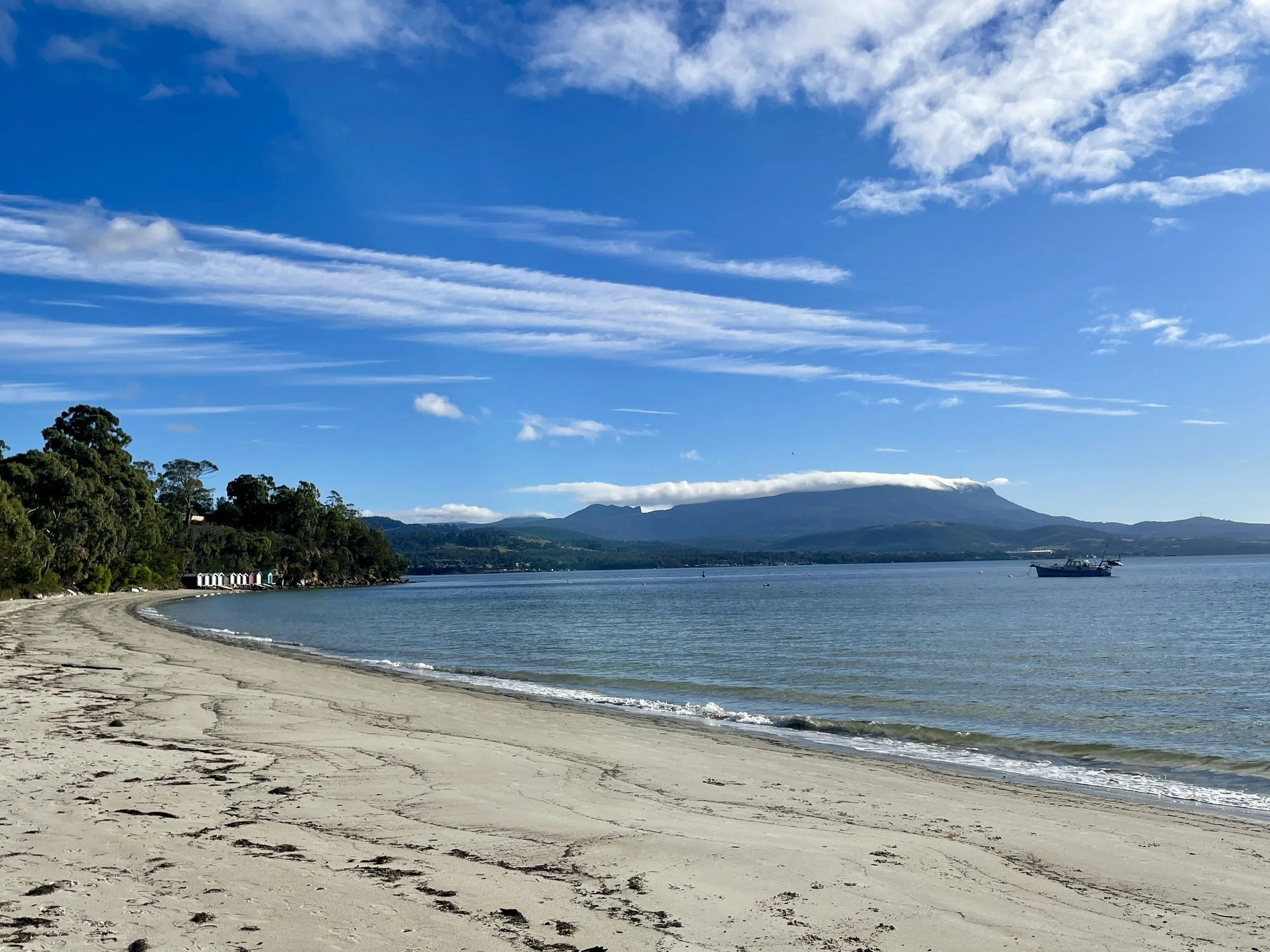 Coningham Beach Revegetation