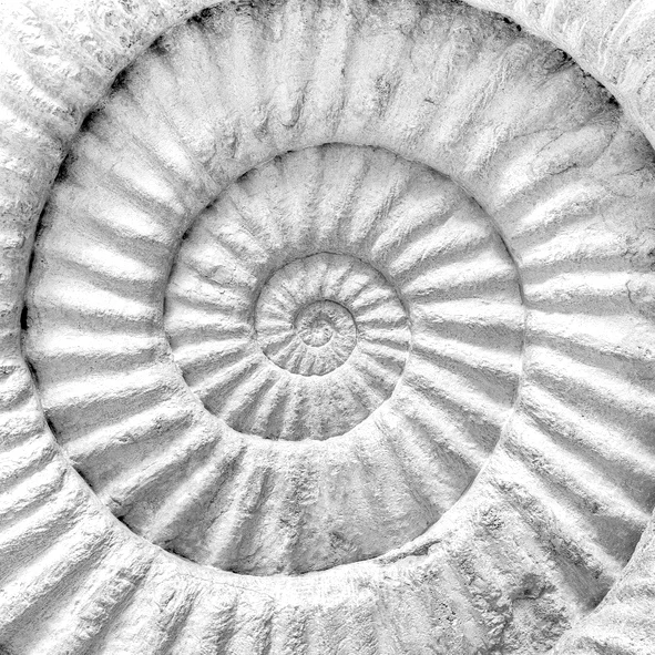 sessions with a Medium to experience grief healing