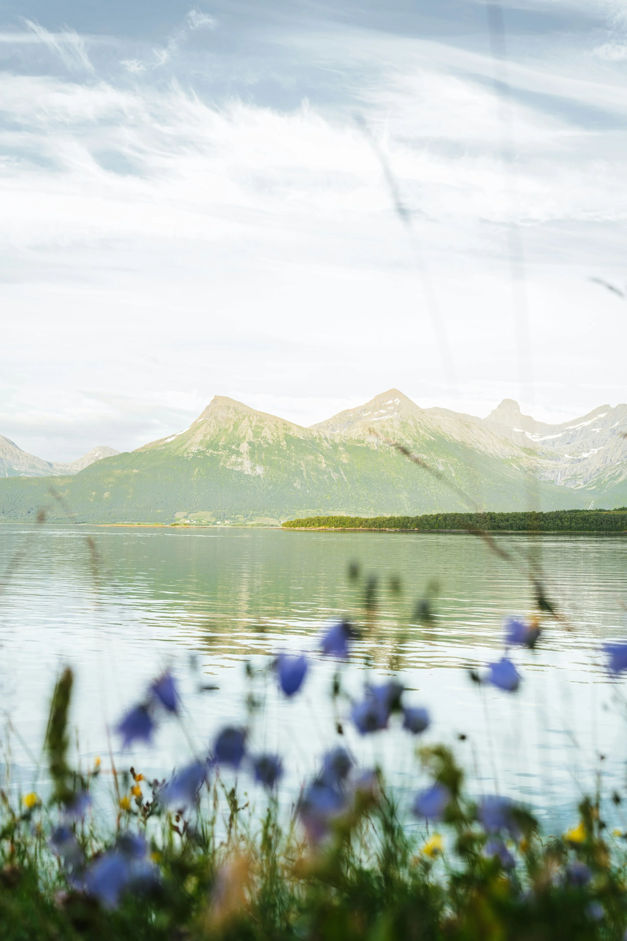 A scenic landscape with mountain peaks in the background, a body of water in the middle, and purple wildflowers in the foreground.