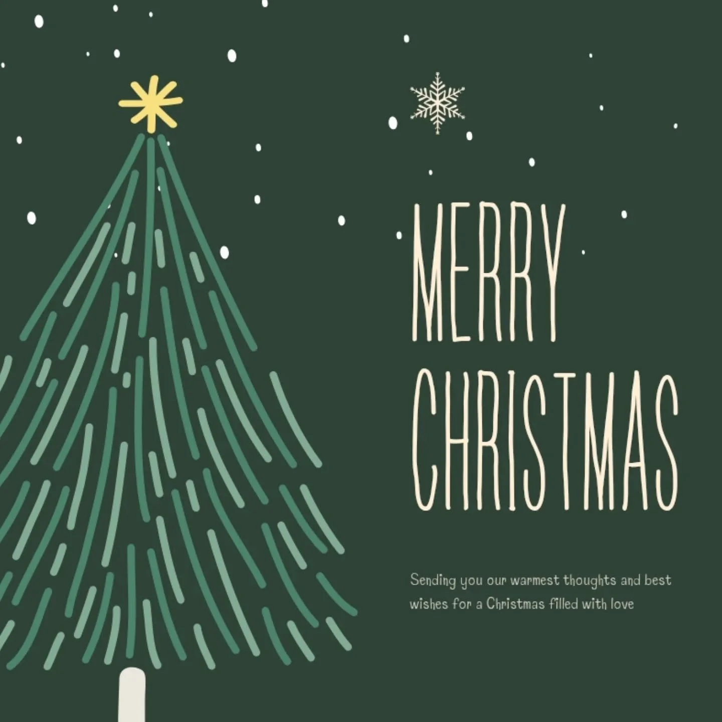 Merry Christmas everyone! I hope everyone got to enjoy the holidays with family, friends, fur babies...however you celebrate (or don't). ❤️🎁 

We got to spend a great holiday with family and friends and got in some much needed relaxing time with our