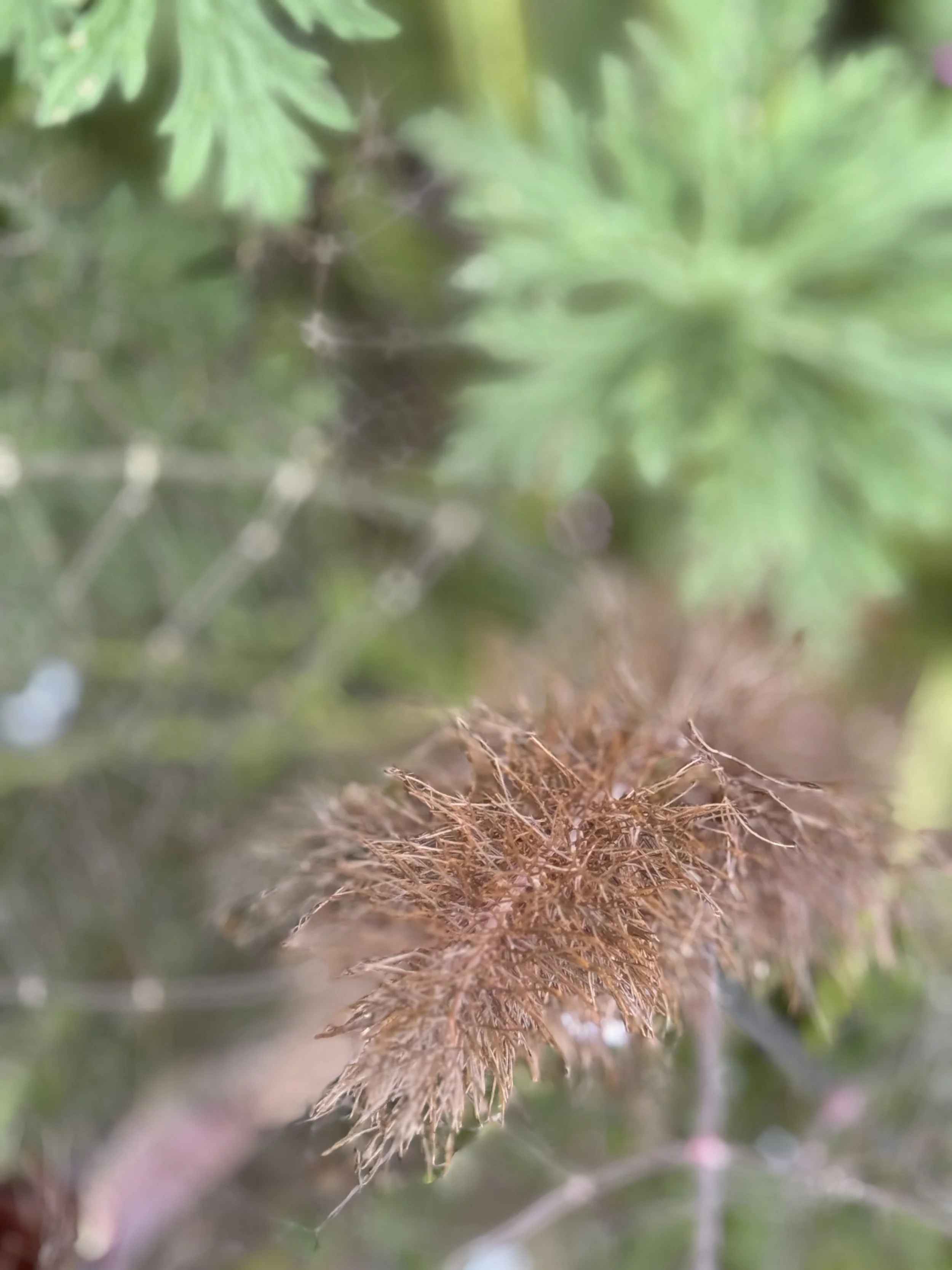 IMG_0400.jpeg
