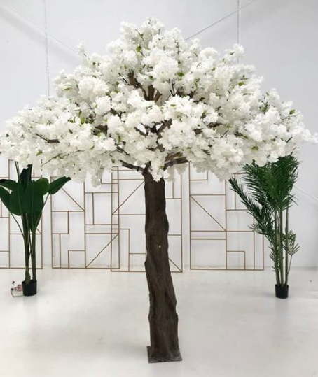 silk cherry blossom tree for hire melbourne.png