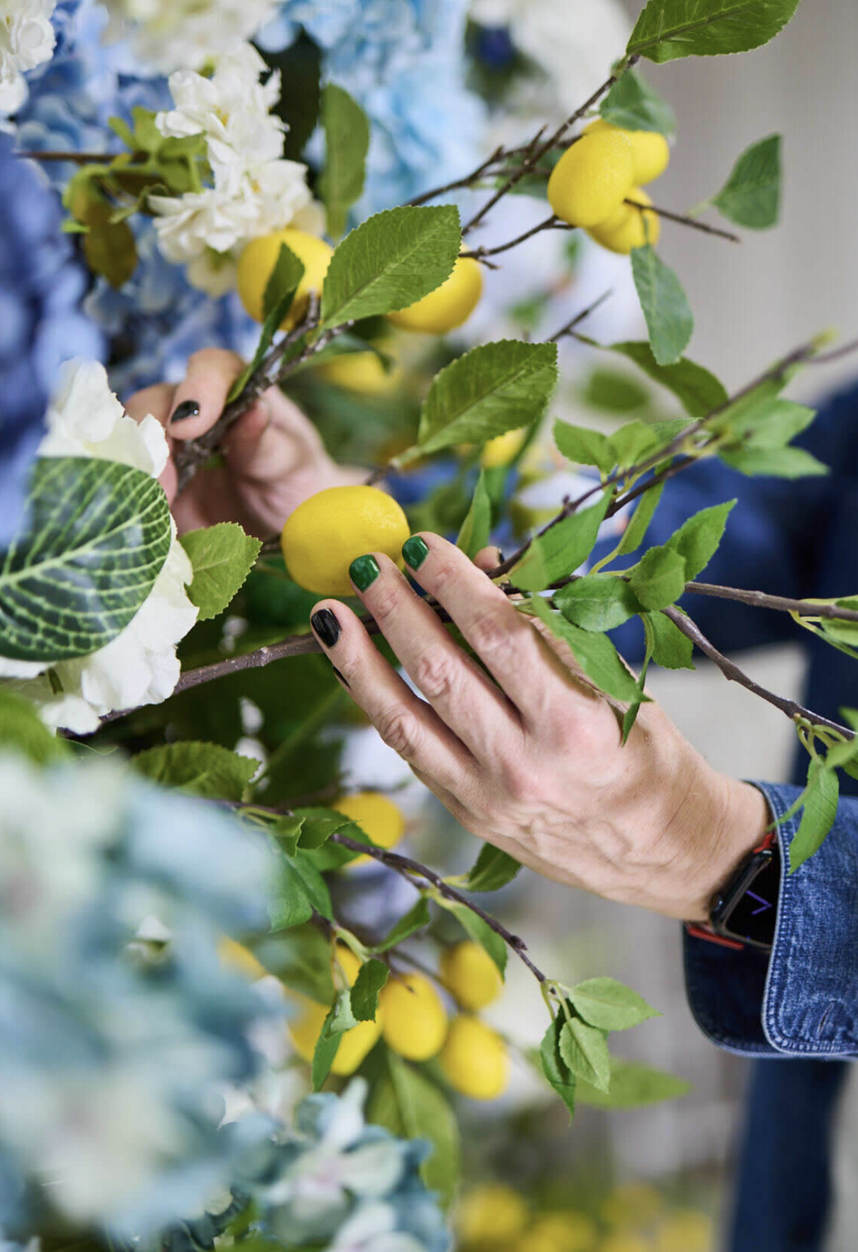 Person's hands with black and green nail polish holding a branch of a lemon tree with yellow lemons and green leaves.