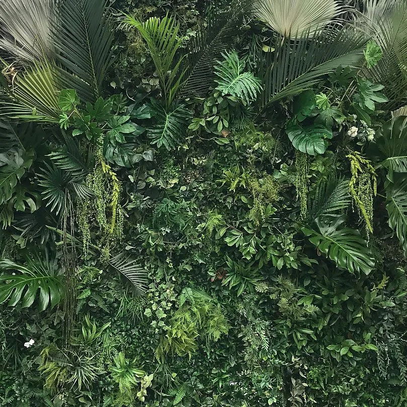 tropical wall - melbourne event florals.jpg