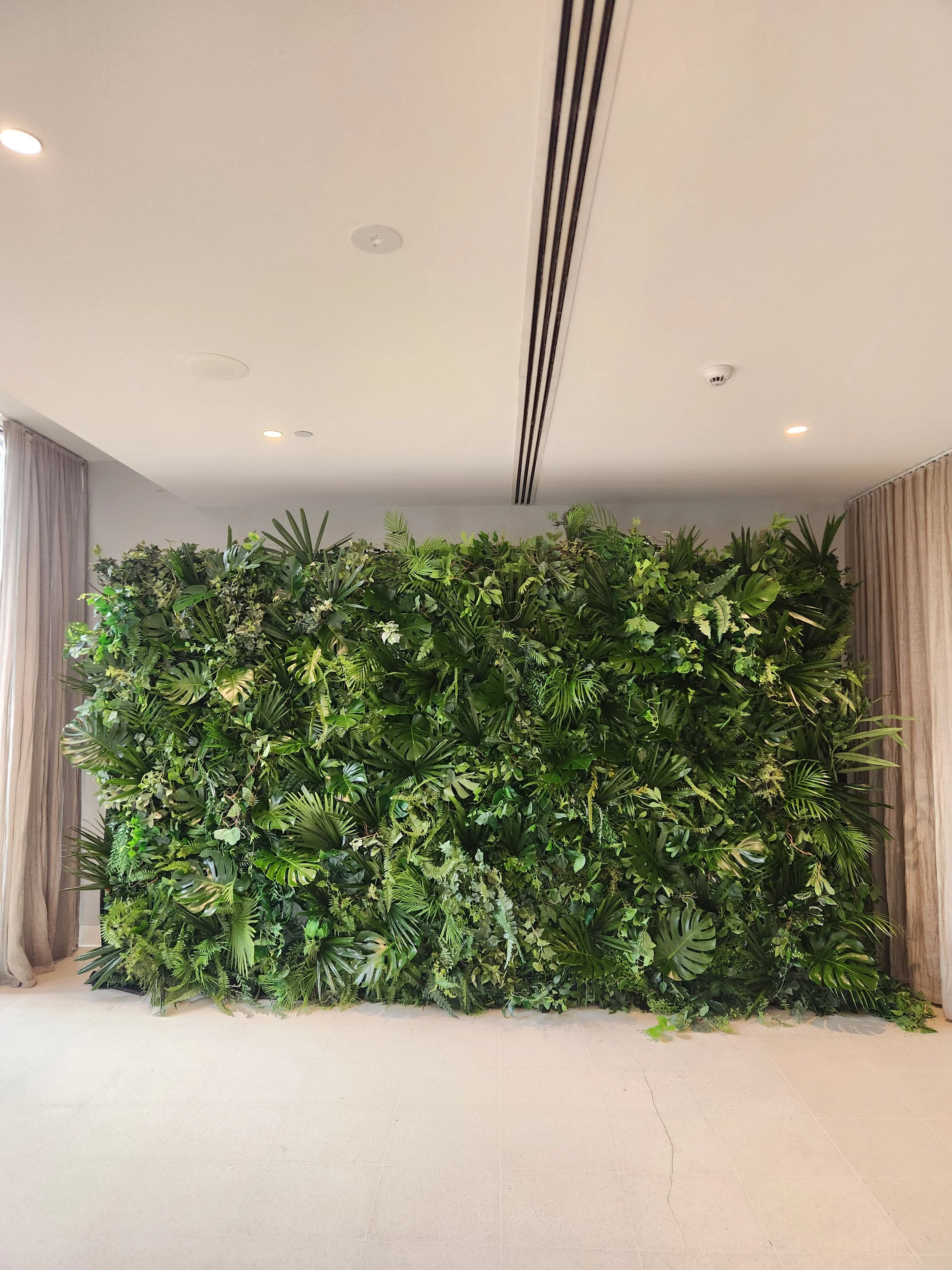 A large green leafy wall with various types of tropical plants, situated indoors with curtains on either side.