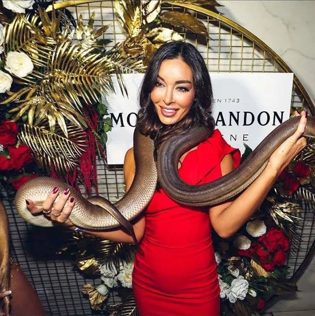 halo arbour with mesh 2 - melbourne event florals.jpg