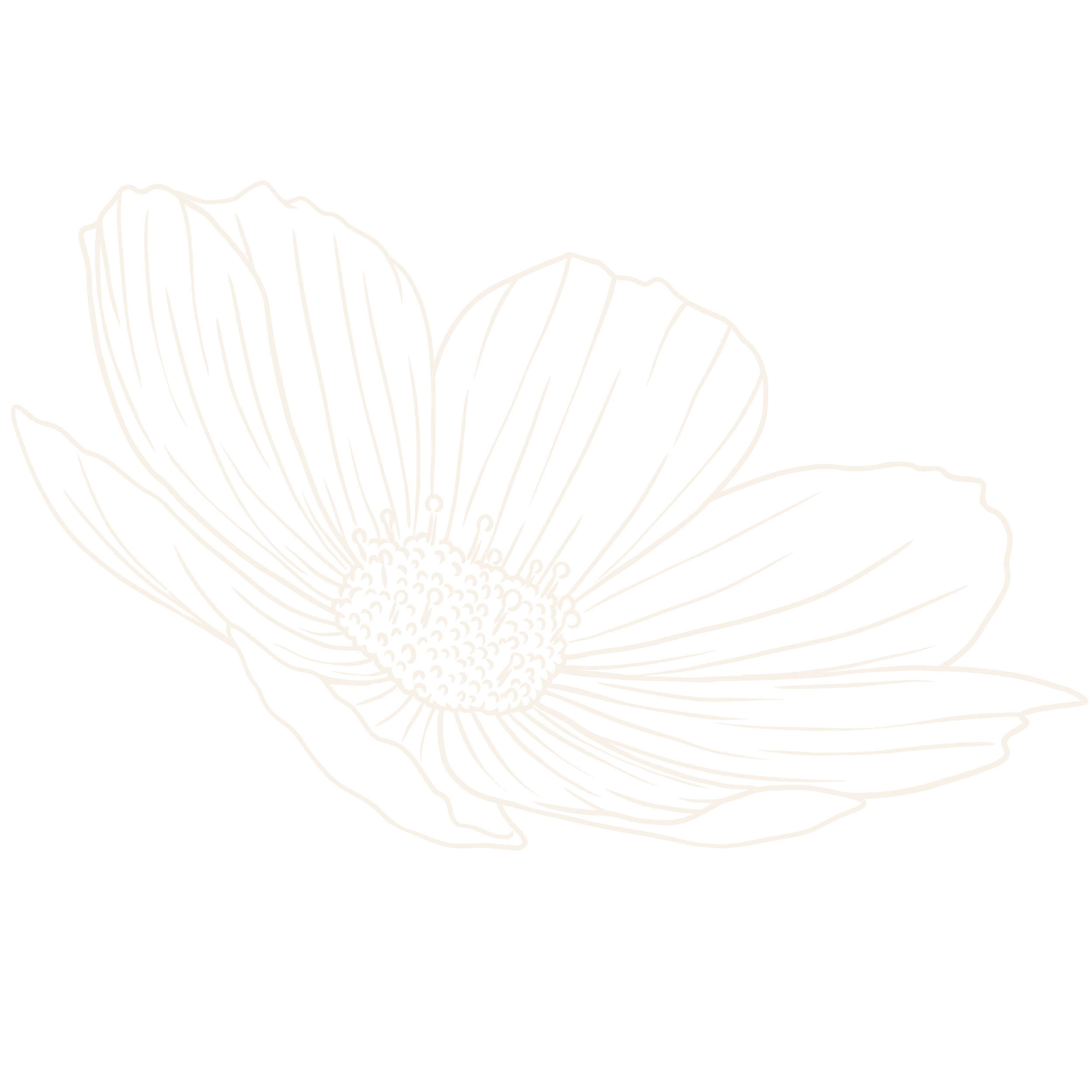 Outline drawing of a flower with multiple petals on a black background.
