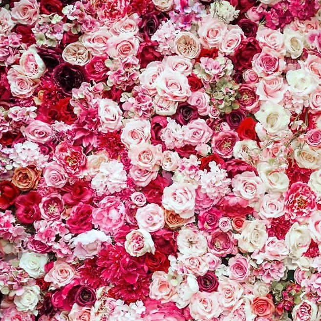 vibrant pink flower wall - melbourne event florals.jpg