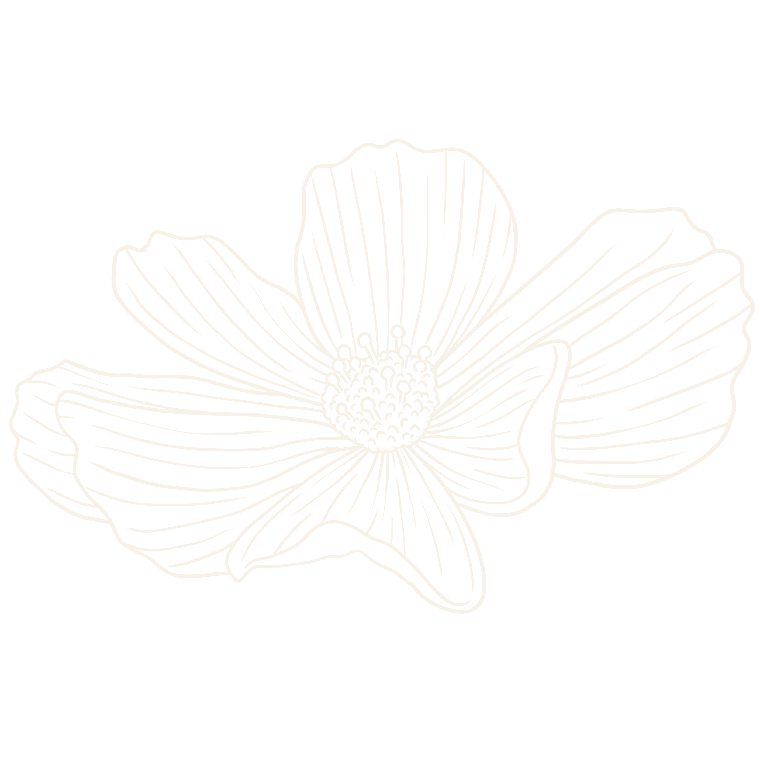 Line art drawing of a flower with detailed petals and a central stamen on a black background.