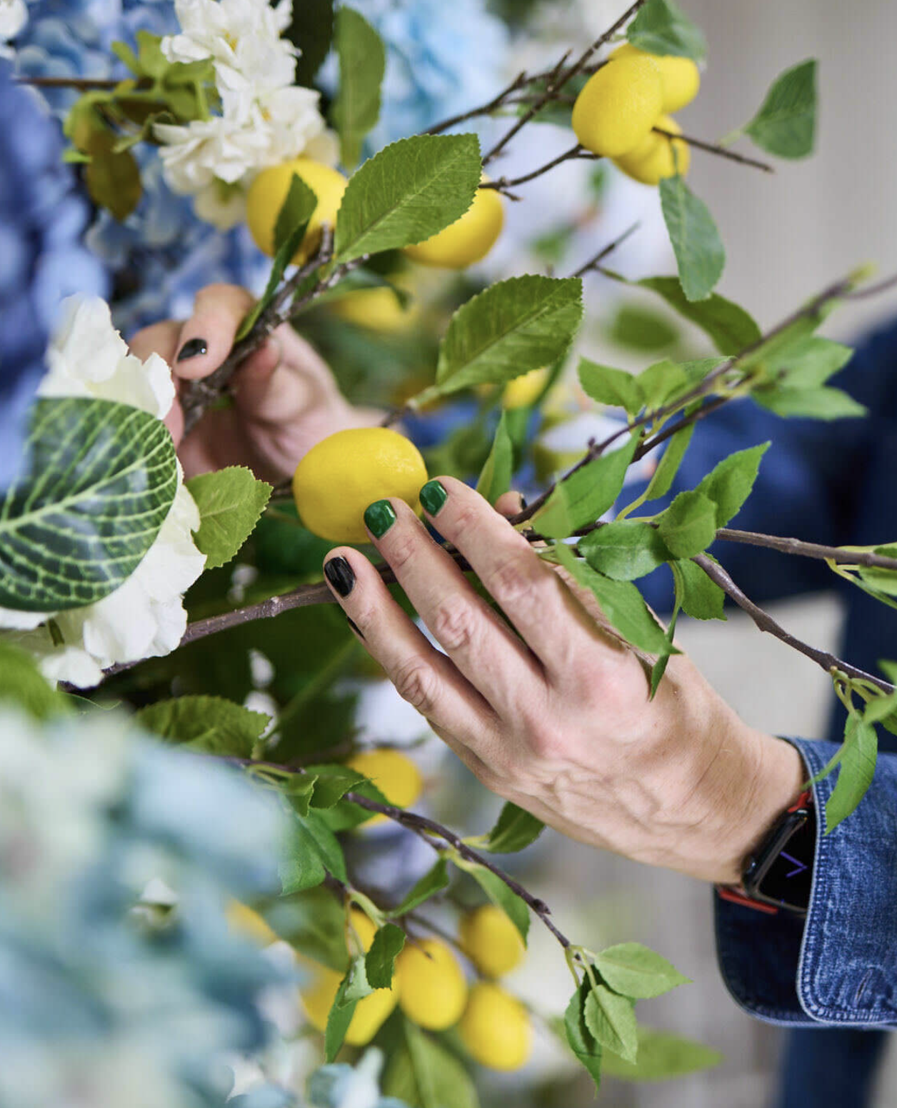 Close-up of a person holding and examining a branch with bright yellow lemons and green leaves.