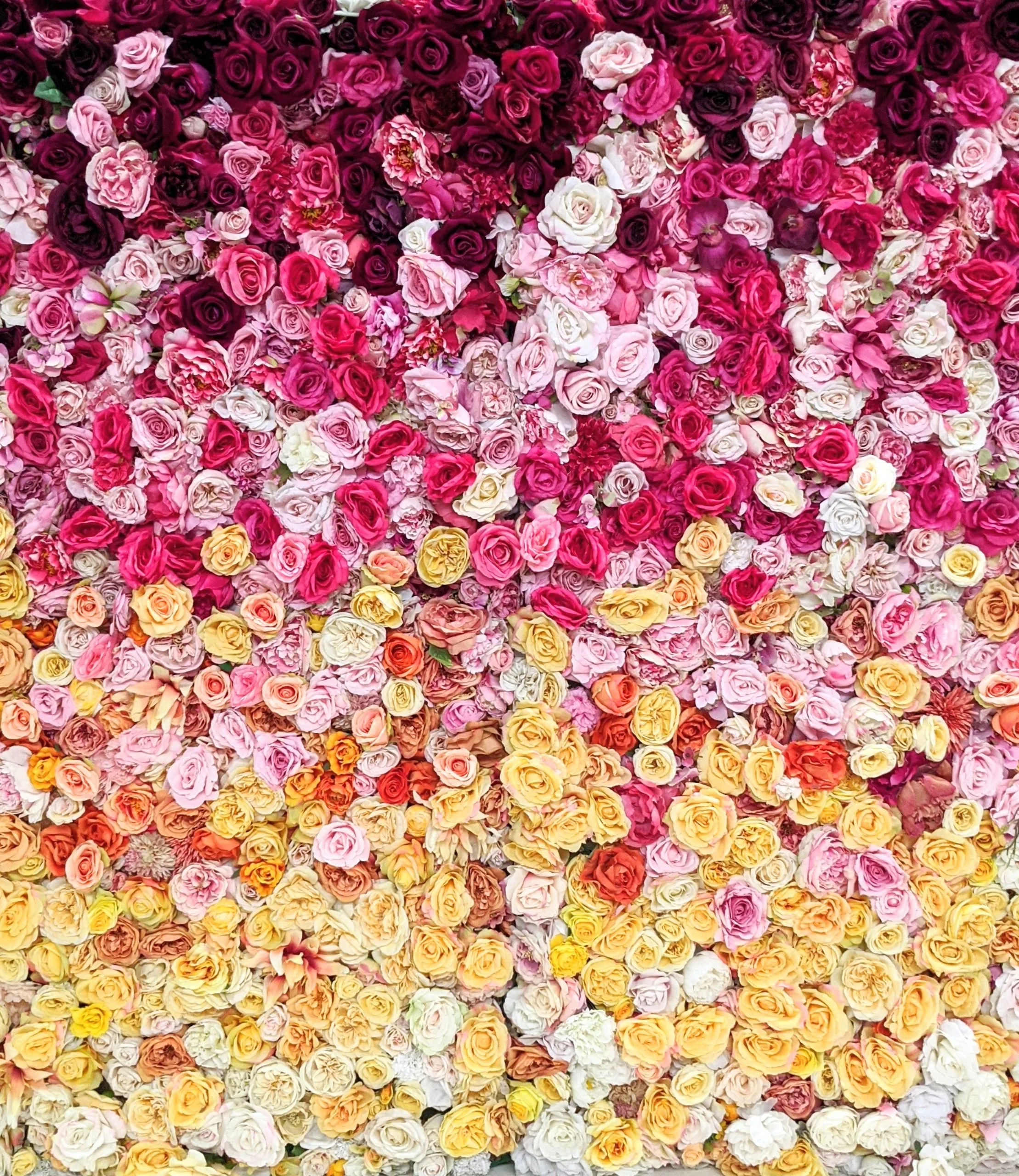 ombre wall - melbourne event florals.jpg