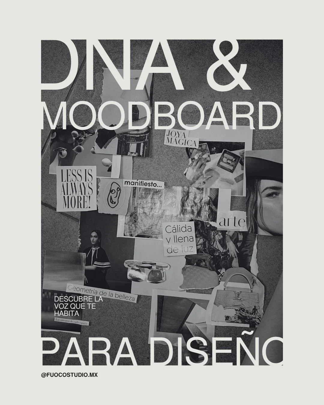 DNA & Moodboard