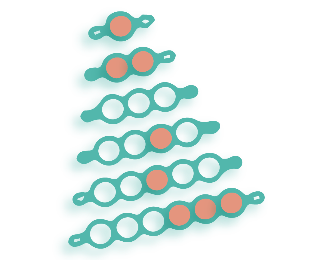 رسم توضيحي لنبات بأوراق خضراء مزرقة اللون وأزهار أو براعم دائرية برتقالية حمراء.