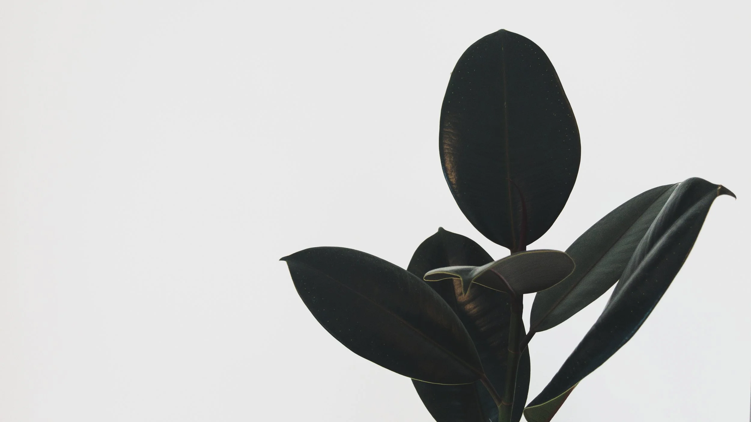 Trauma-Informed GP Support for Mothers: Healing Yourself to Raise Emotionally Secure Children