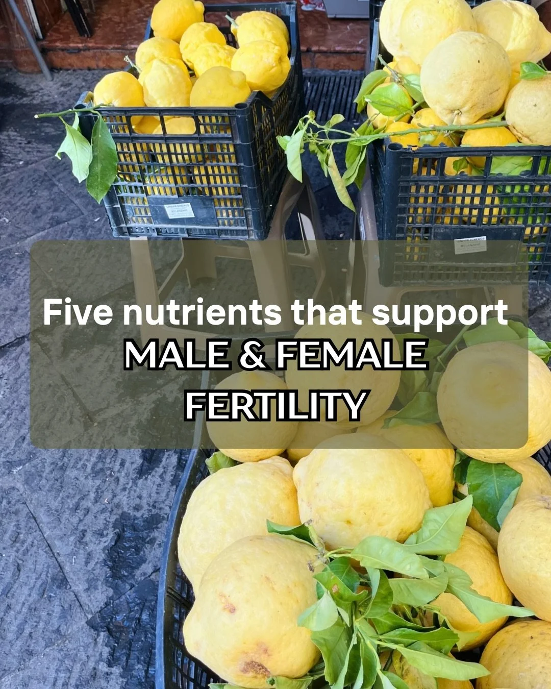 A snapshot of what the science tells us about nutrition and fertility.

This is *not* a comprehensive list, but it shows how cellular health matters for both egg and sperm (well - it takes two to tango).

A clear takeaway: Many of these nutrients com