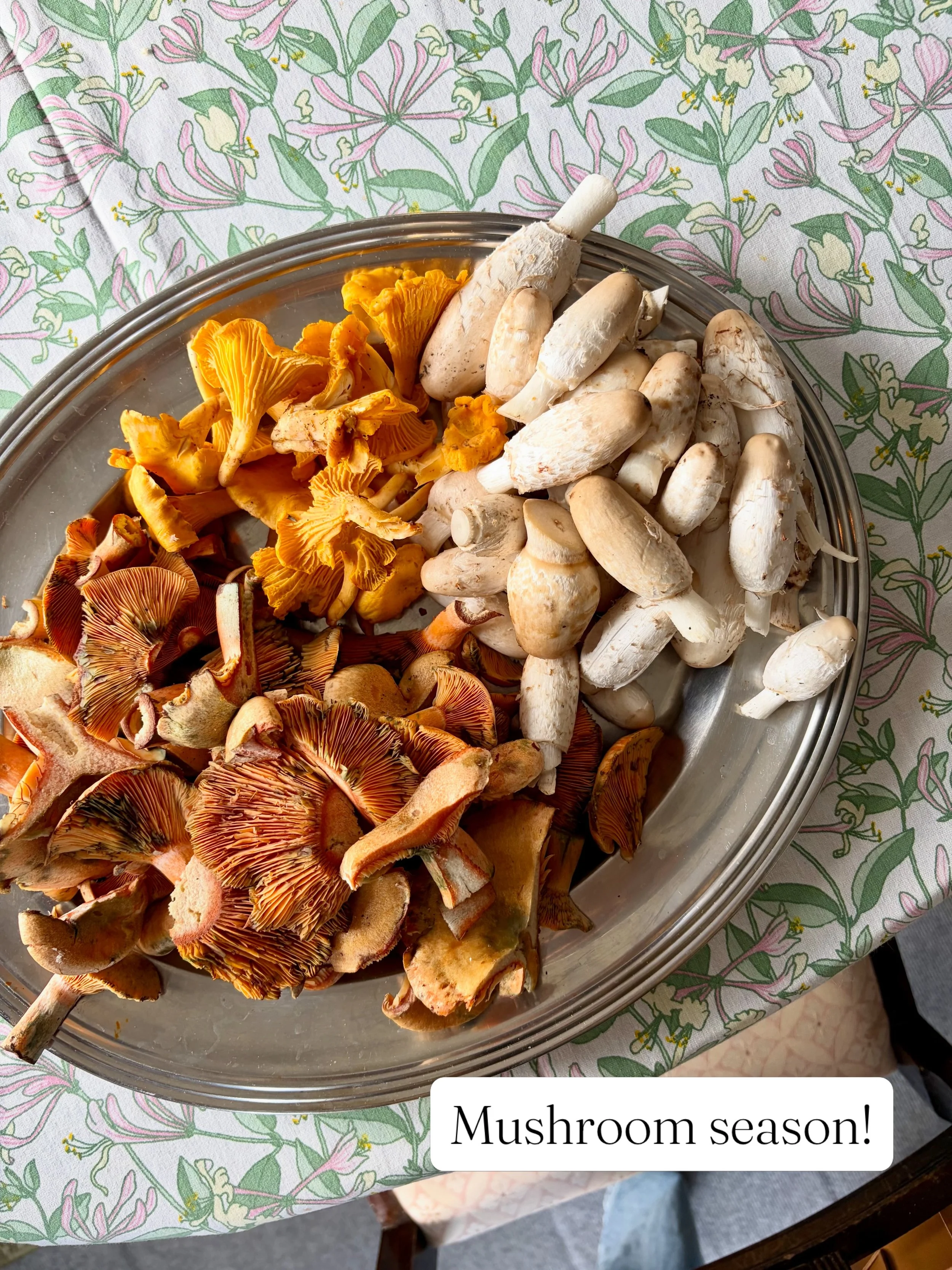 One of the highlights of my recent time in Sweden 🍄 thankfully our friends did the forest foraging and shared their harvest with us 🤗

Mushrooms are one of my favorite ingredients. They add so much flavor and are packed with antioxidants, fiber, an
