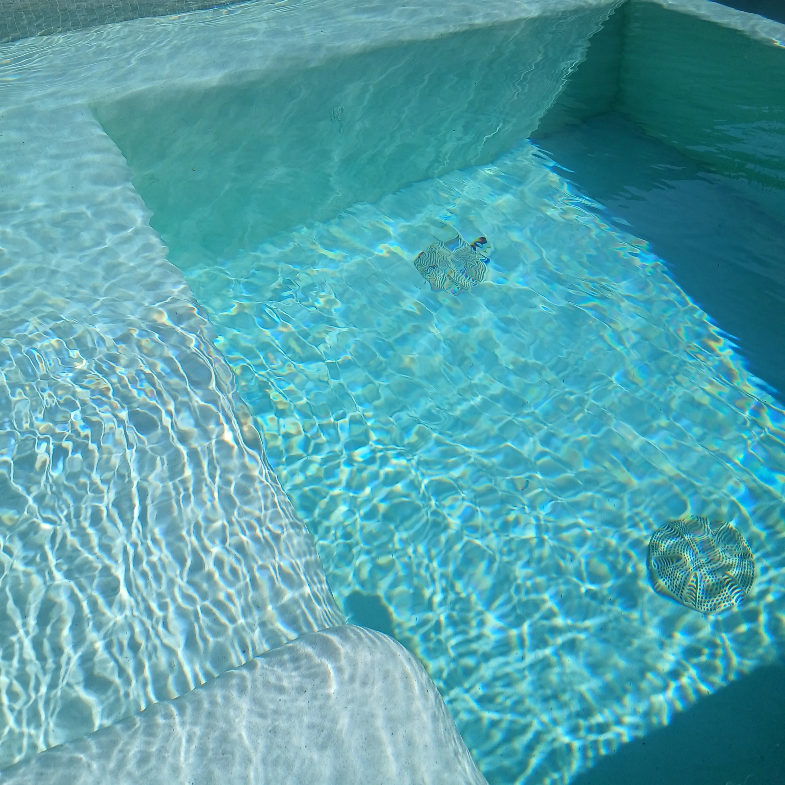 20250926_103847.jpg