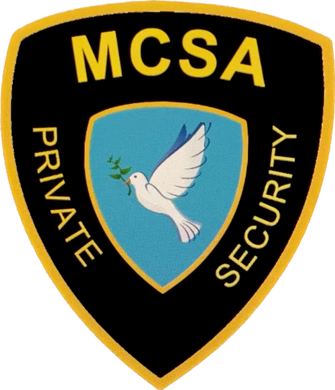 MCSA Private Security