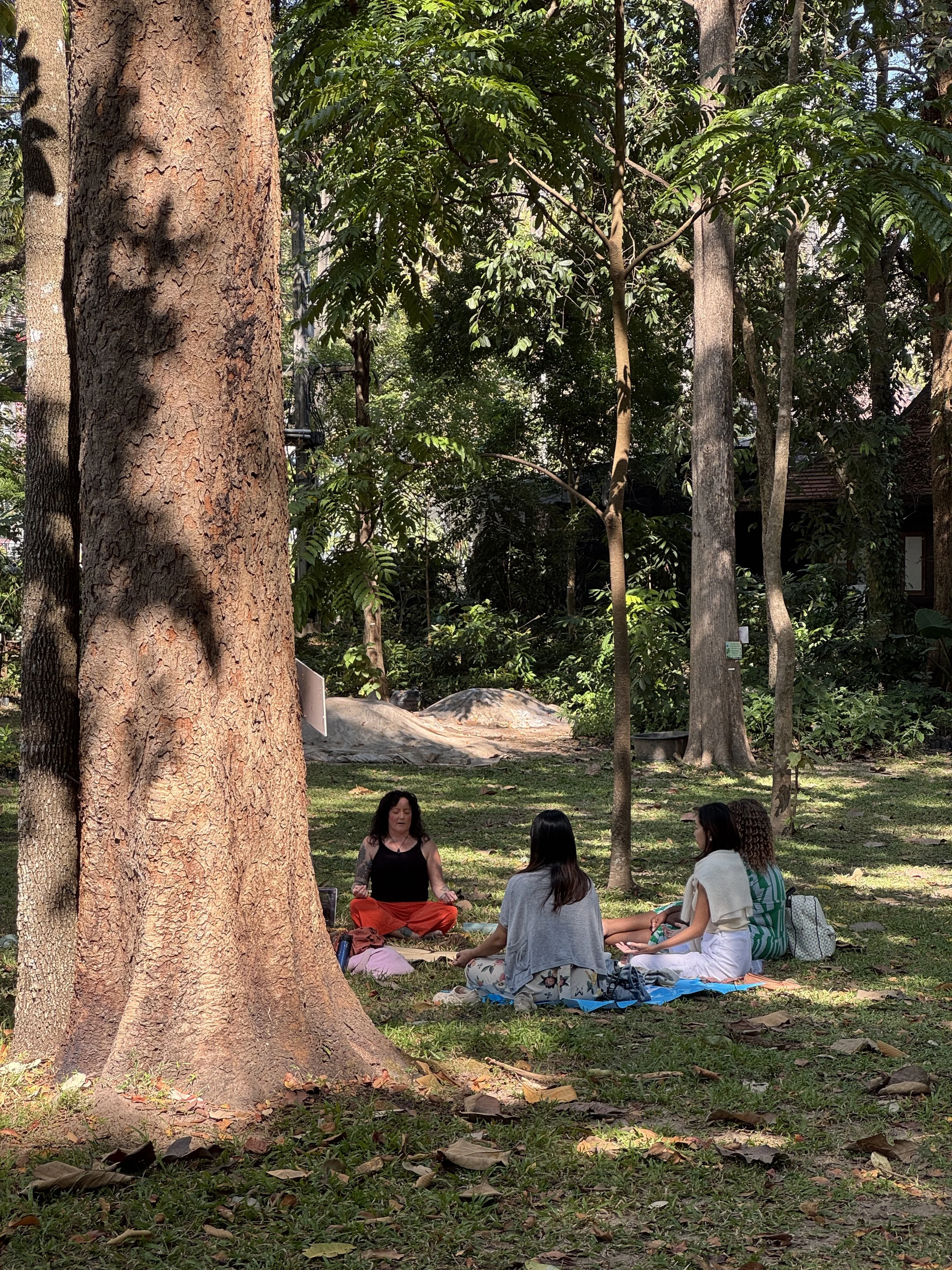 A group of people sit on a blanket in a forested area, participating in a meditation or yoga session. They are surrounded by tall trees with sunlight filtering through the leaves.