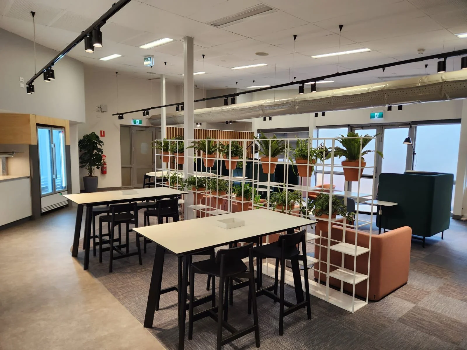 Modern office lounge area with white tables, black chairs, and a white grid partition filled with potted plants. There are large windows in the background, a blue armchair, and a small table to the right. The ceiling has track lighting and exposed ductwork.