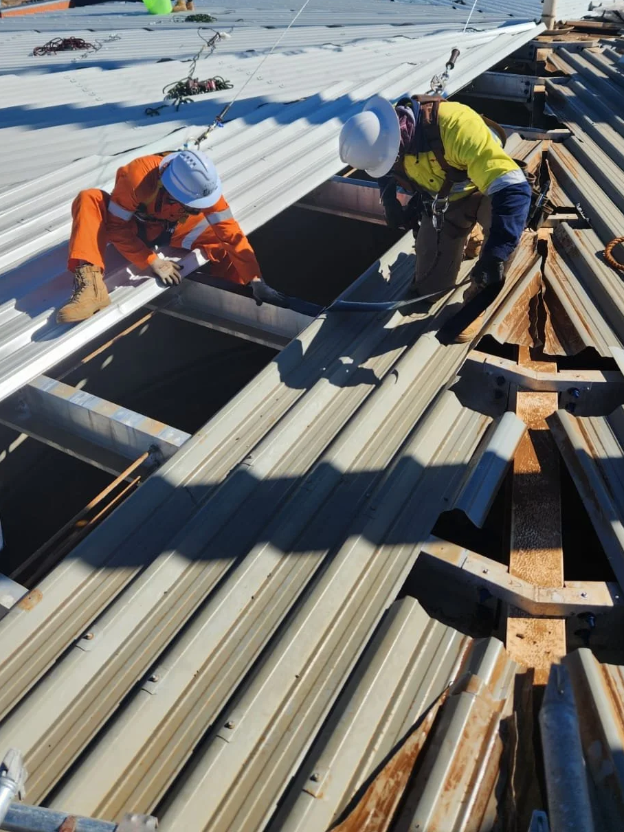Two construction workers wearing hard hats and safety gear installing or repairing metal roofing panels on a building.