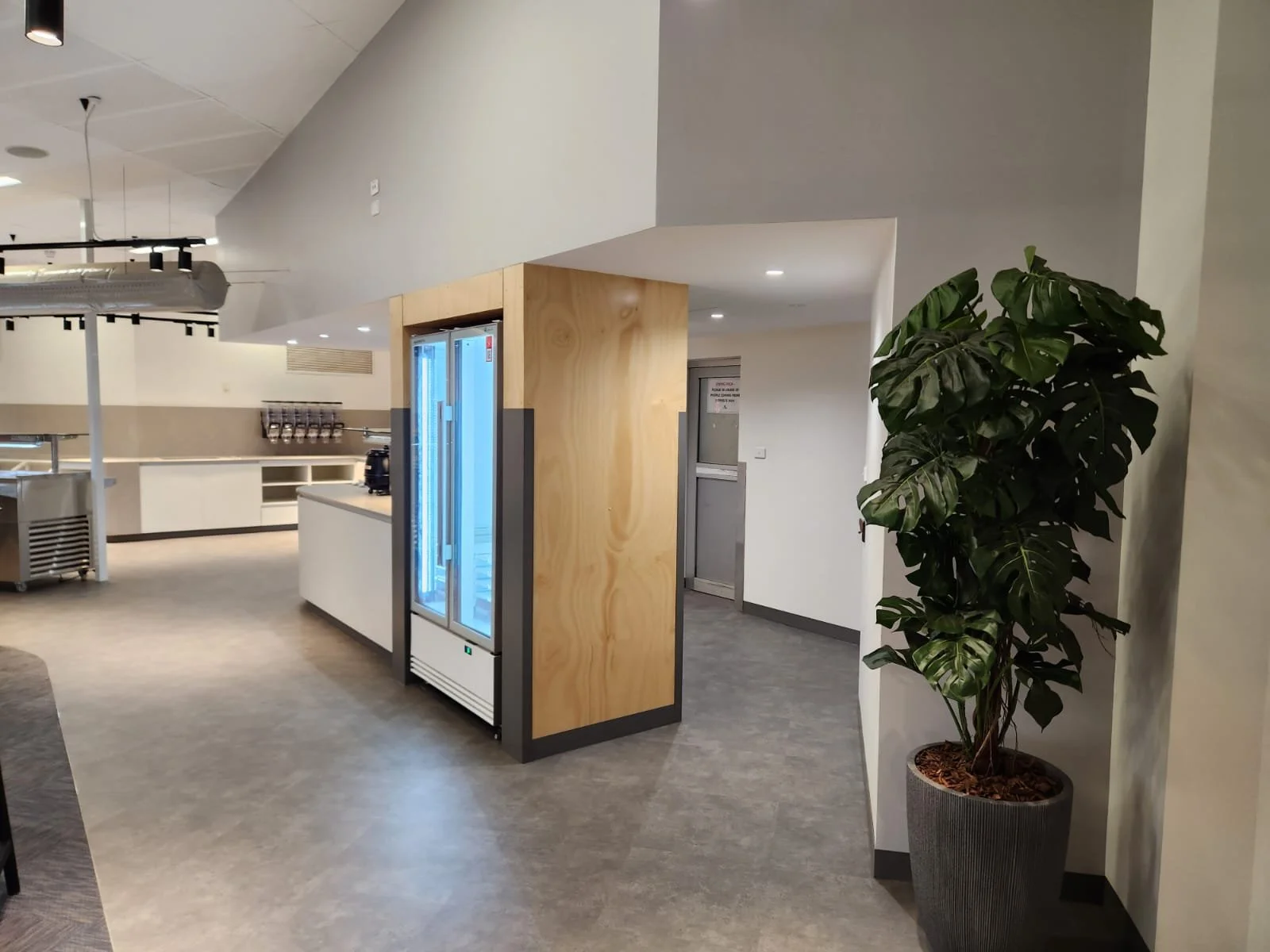 Interior of a modern commercial or office space with a plant in a large pot, a wooden and glass door, a refrigerator, and a kitchen area in the background.