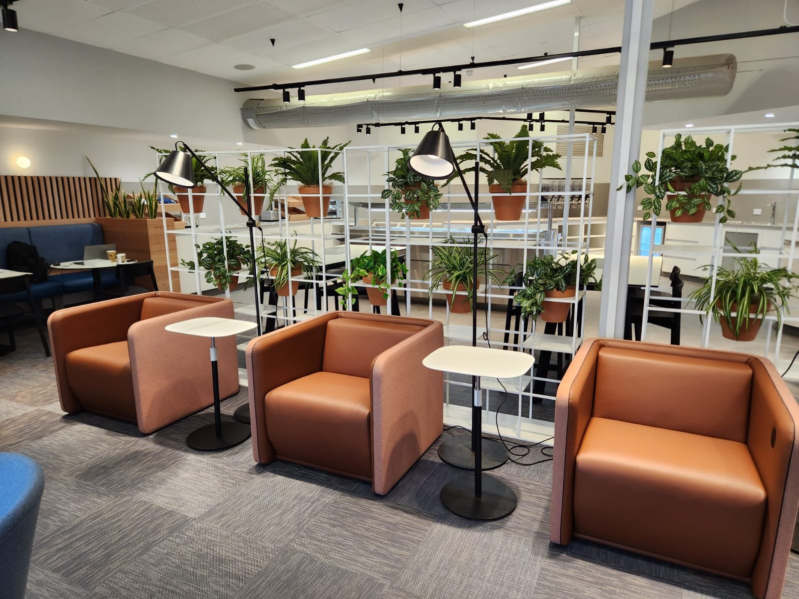 Modern lounge area with brown armchairs, small side tables, and black lamps, separated by a white shelving unit filled with potted green plants in an indoor space.