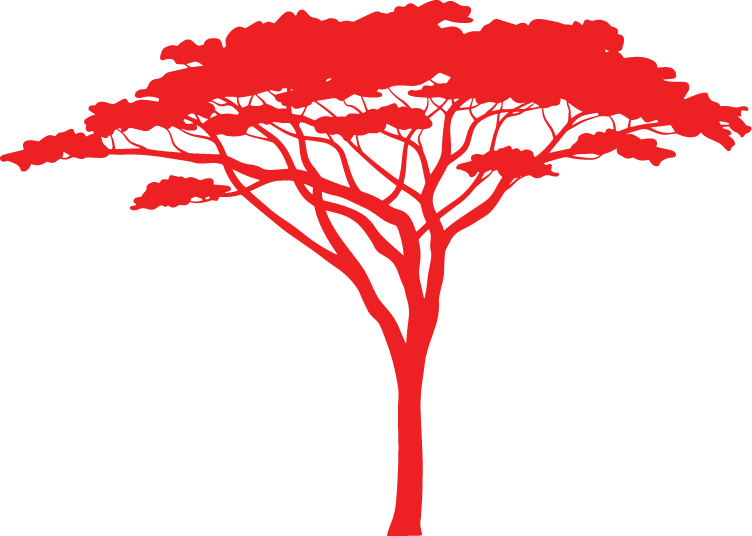 A silhouette of a red tree with spreading branches and a thick trunk against a black background.