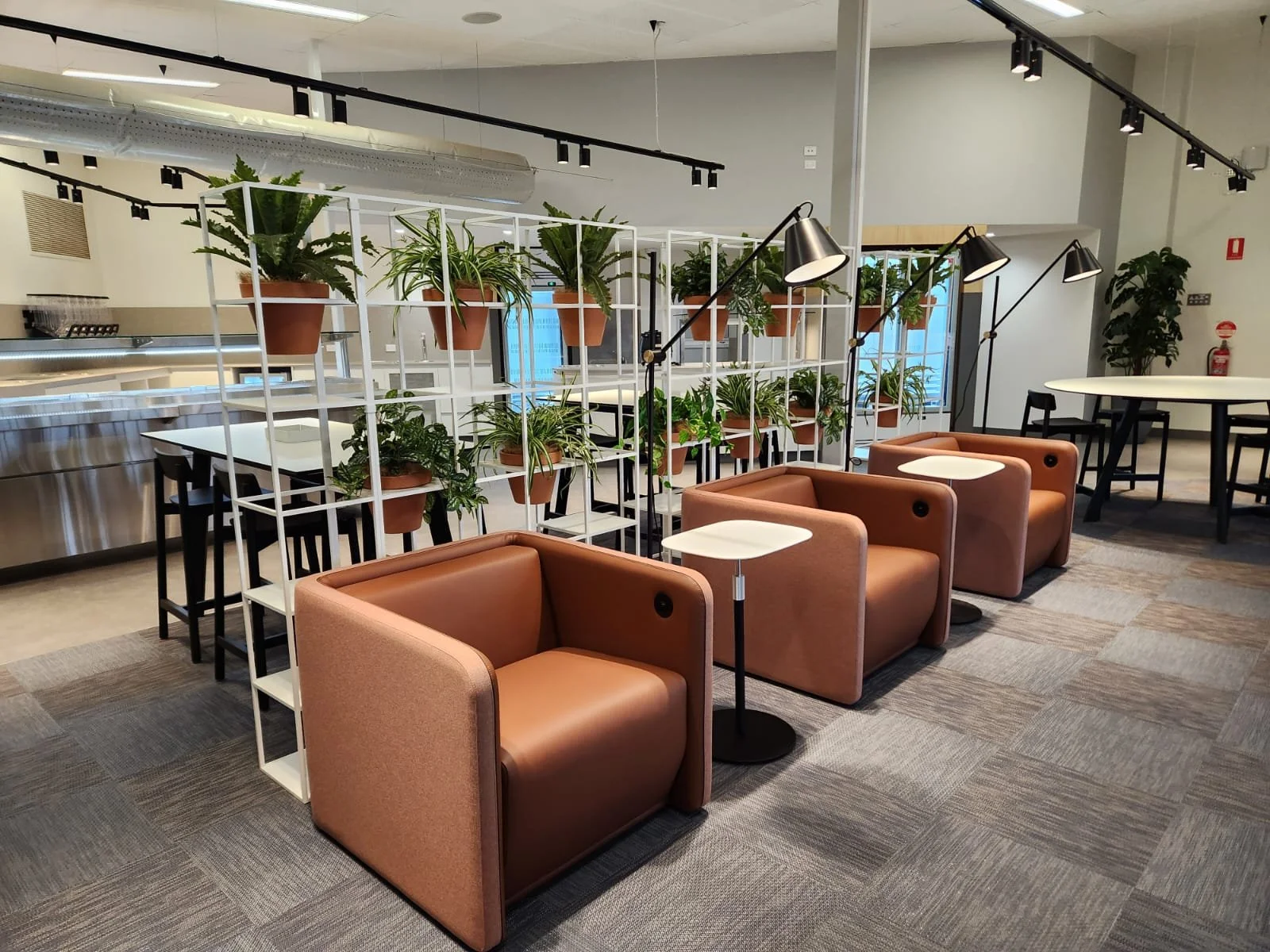 Interior of a modern office or lounge area with pink armchairs, side tables, a white shelving unit with potted plants, black lamps, and tables with black chairs, all on a gray carpeted floor.