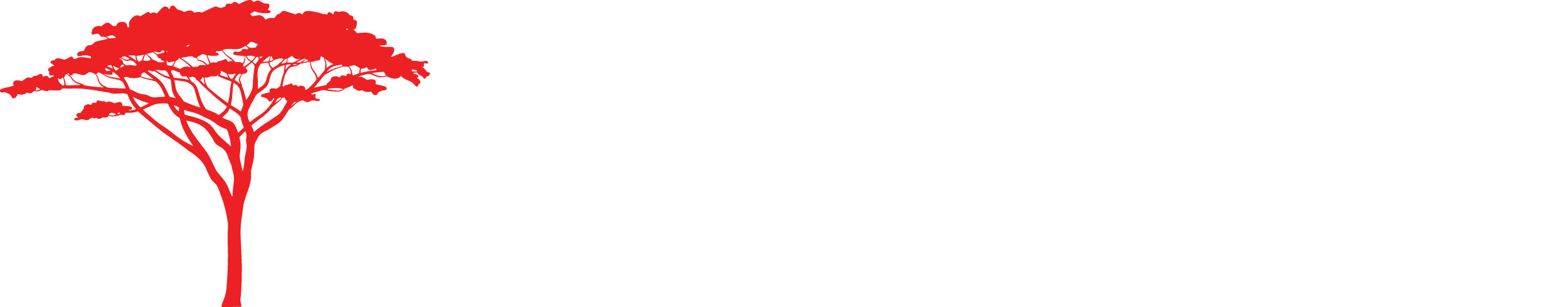 A logo with a stylized red tree and the word "BUGAR" in white capital letters