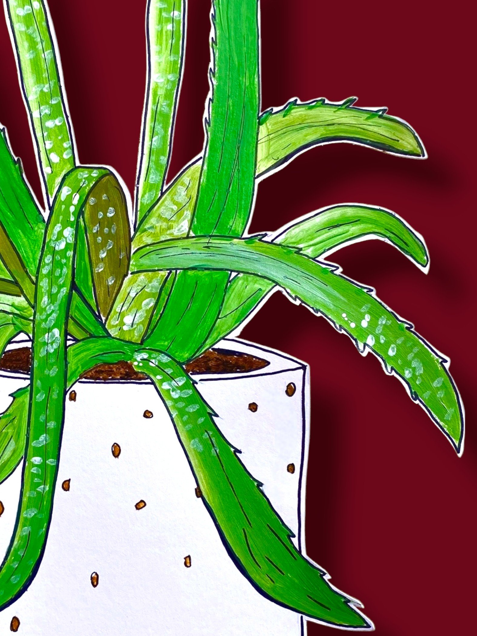 Maroon background.jpg