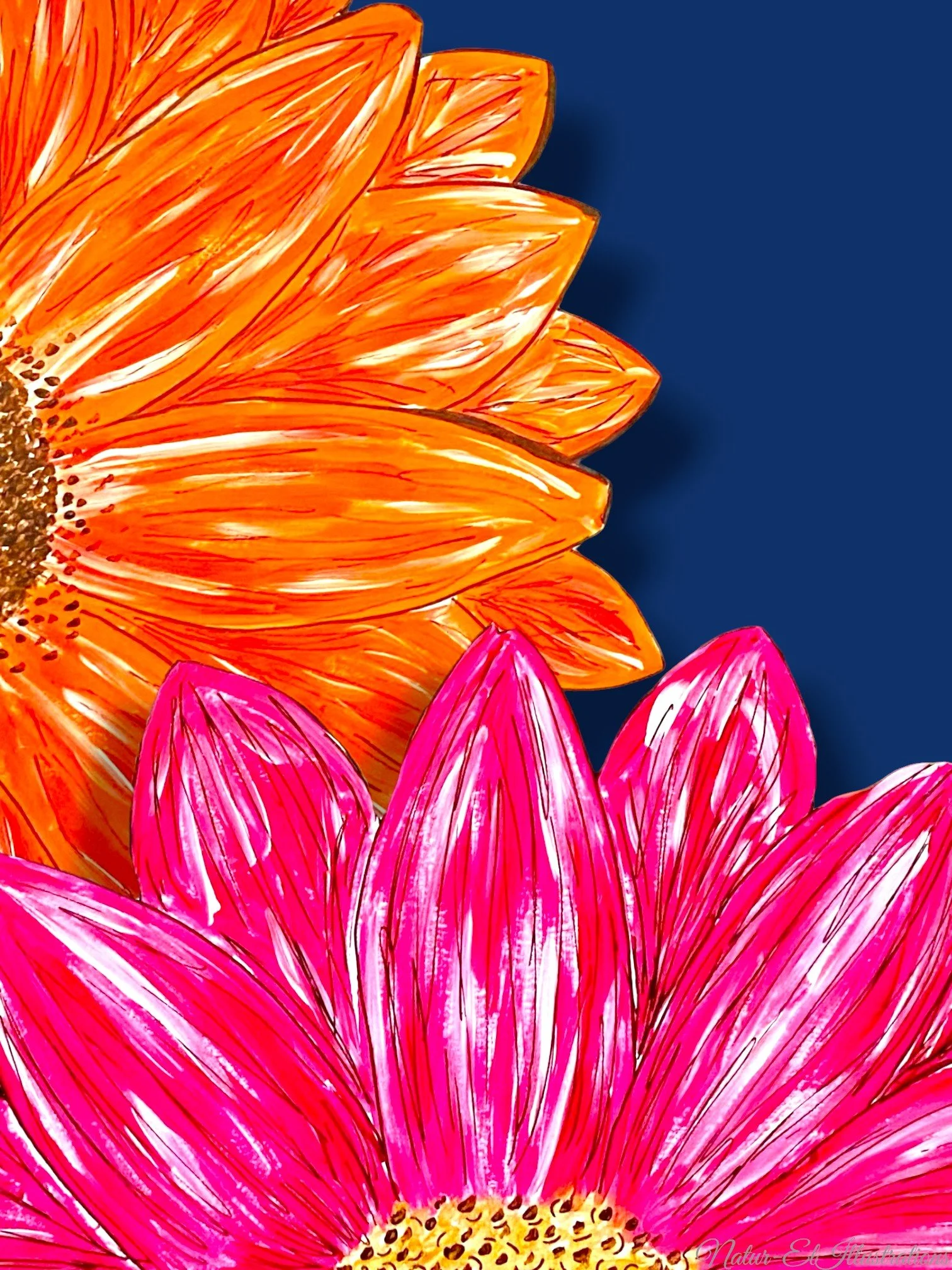 Dark blue background.jpg
