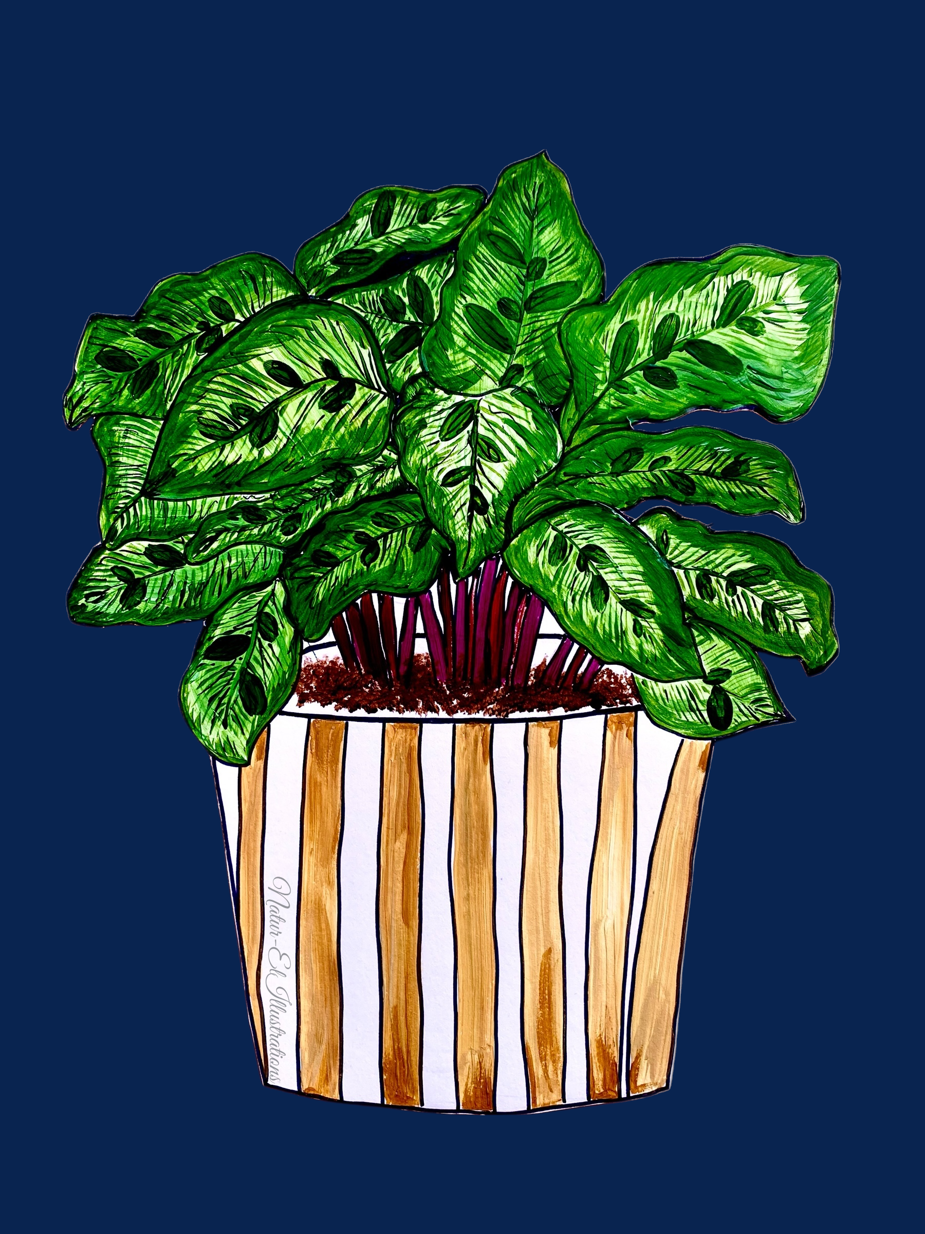 dark blue background.png