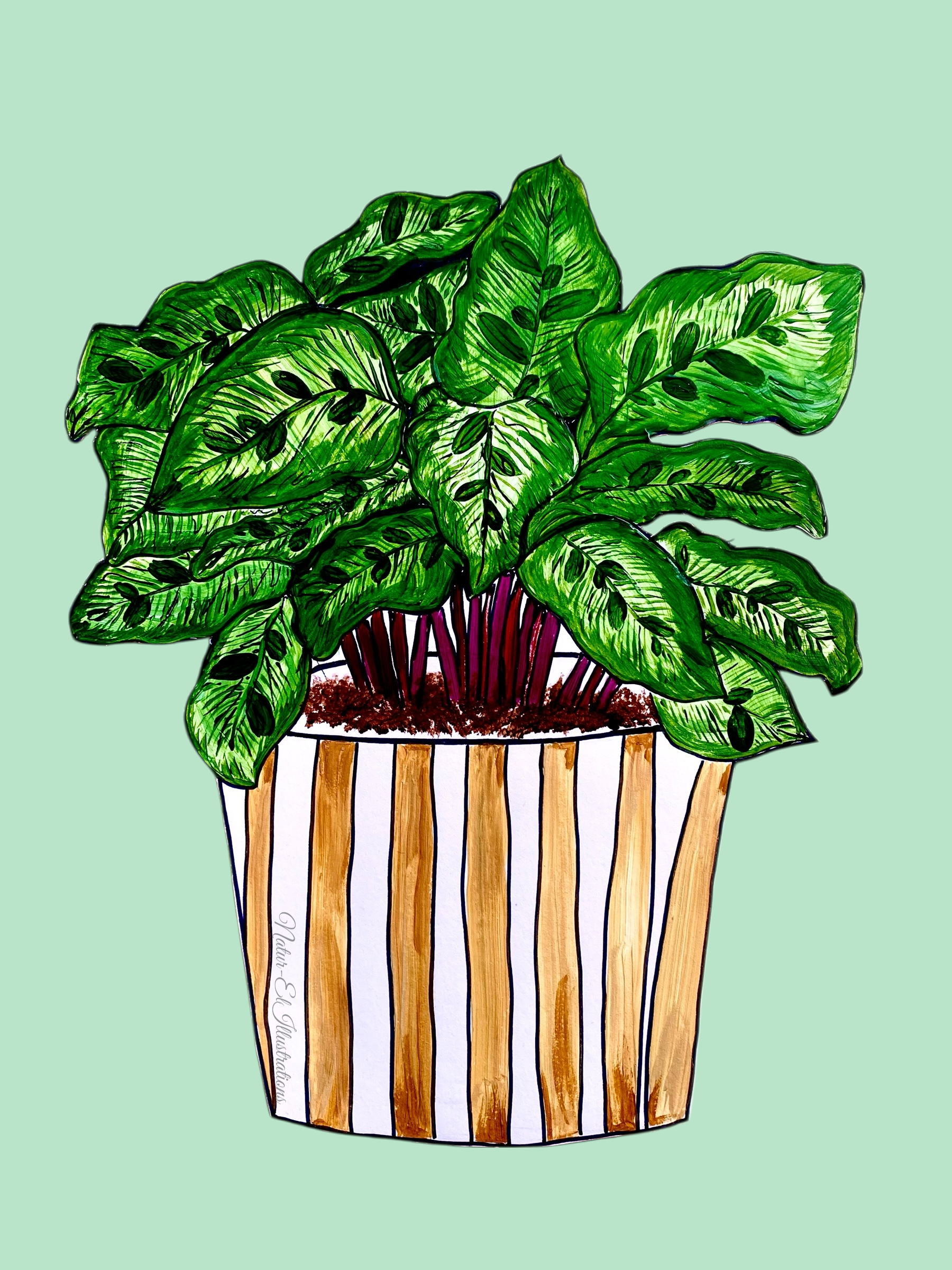 pale green background.png