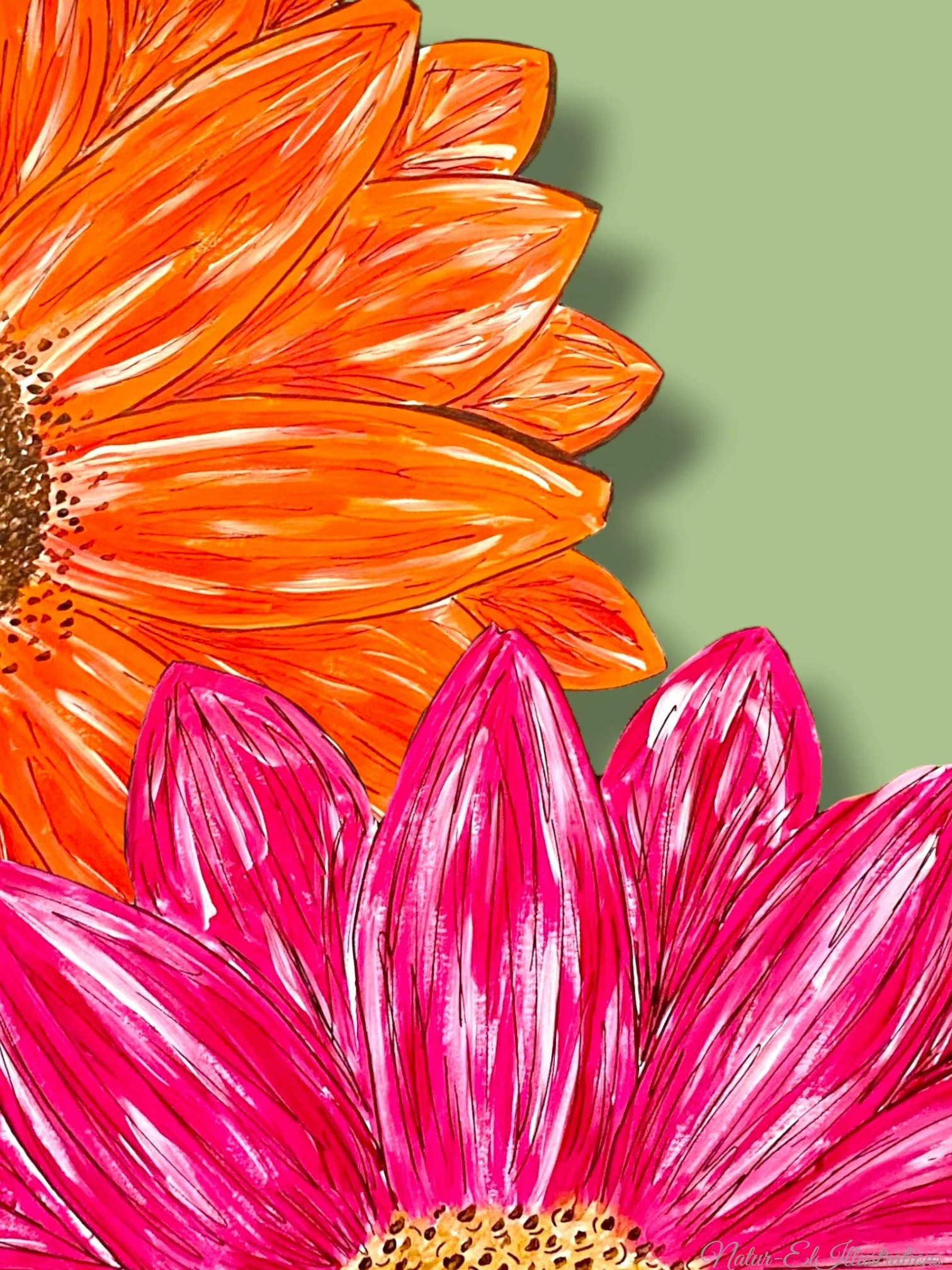 Light green background.jpg