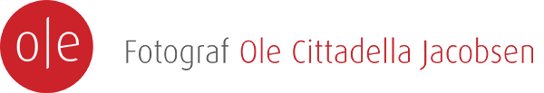 Your Site Title